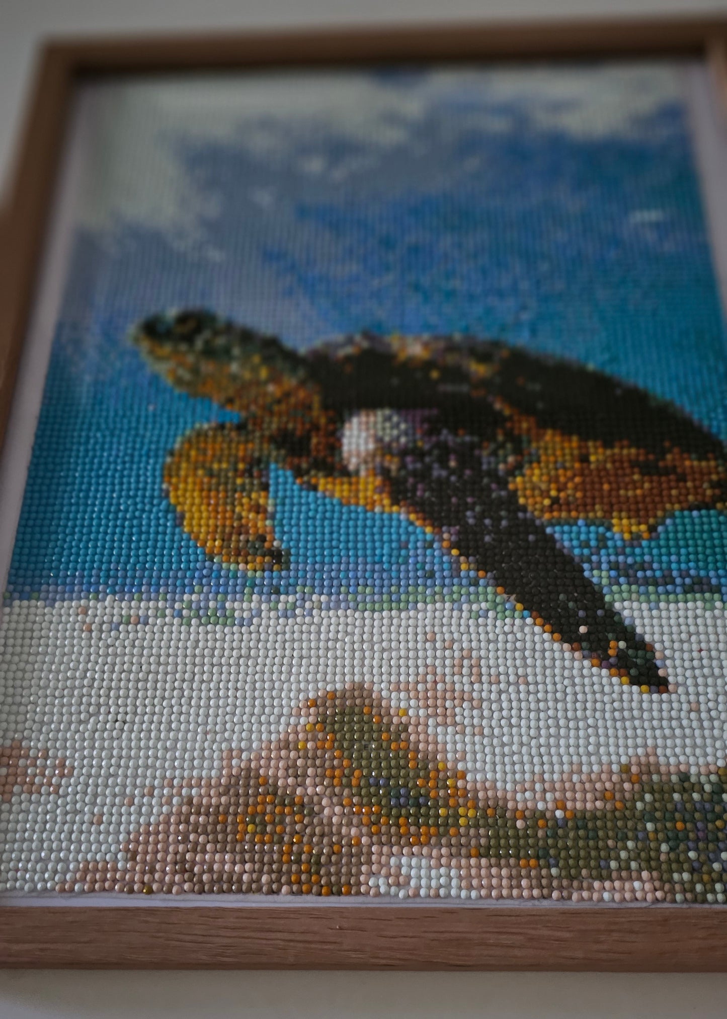 Groovy baby framed artwork - Green Sea turtle