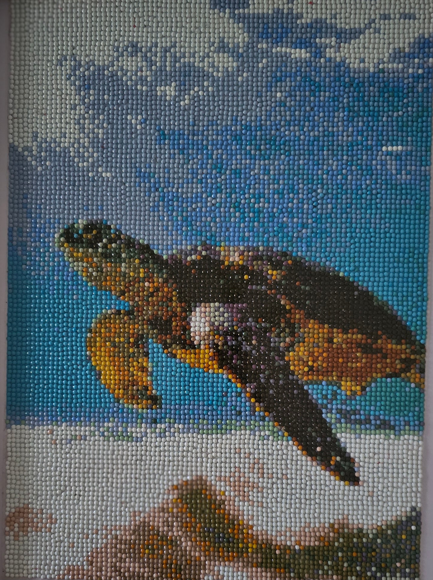 Groovy baby framed artwork - Green Sea turtle