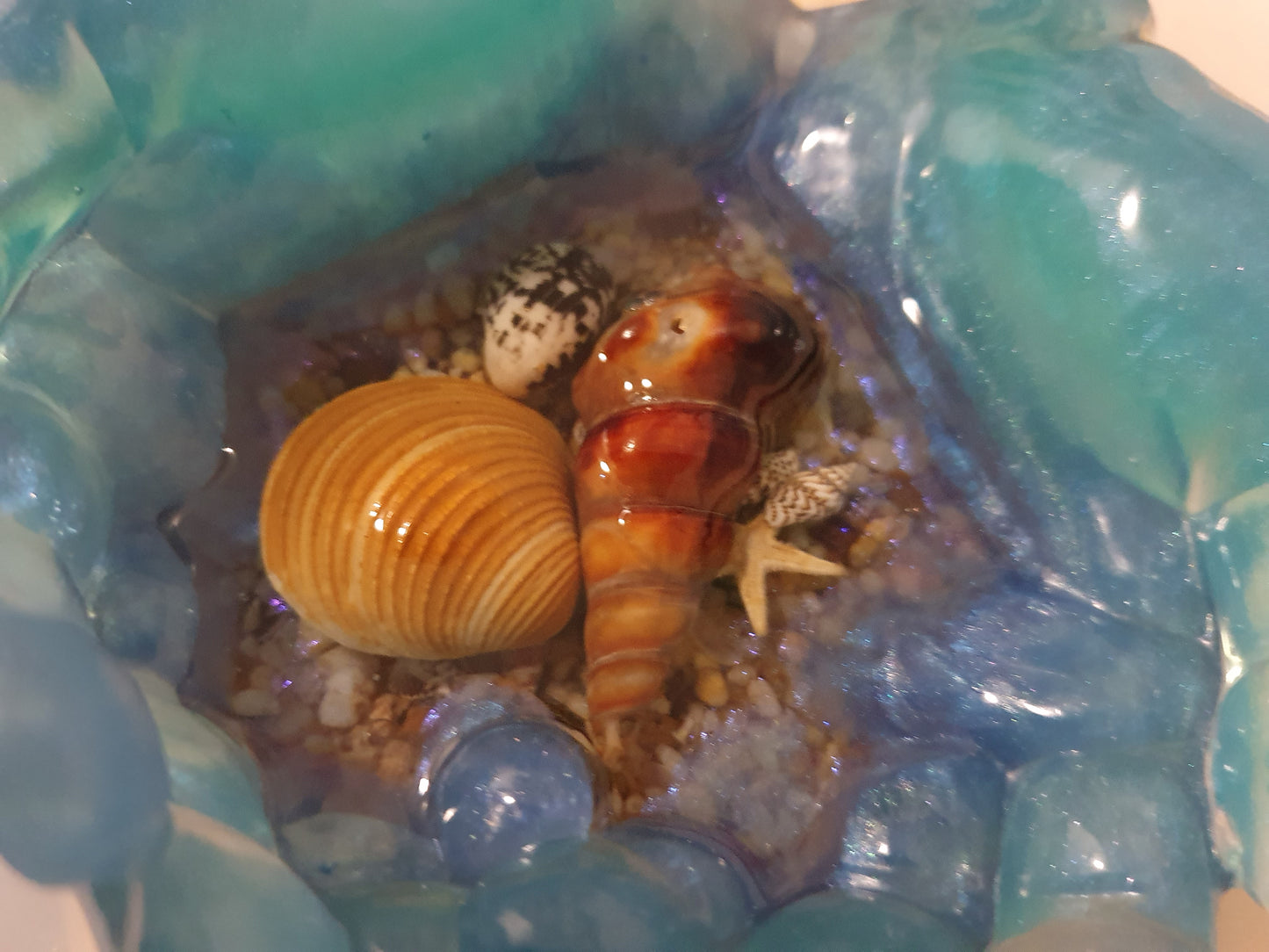 Ocean treasures unique bowl