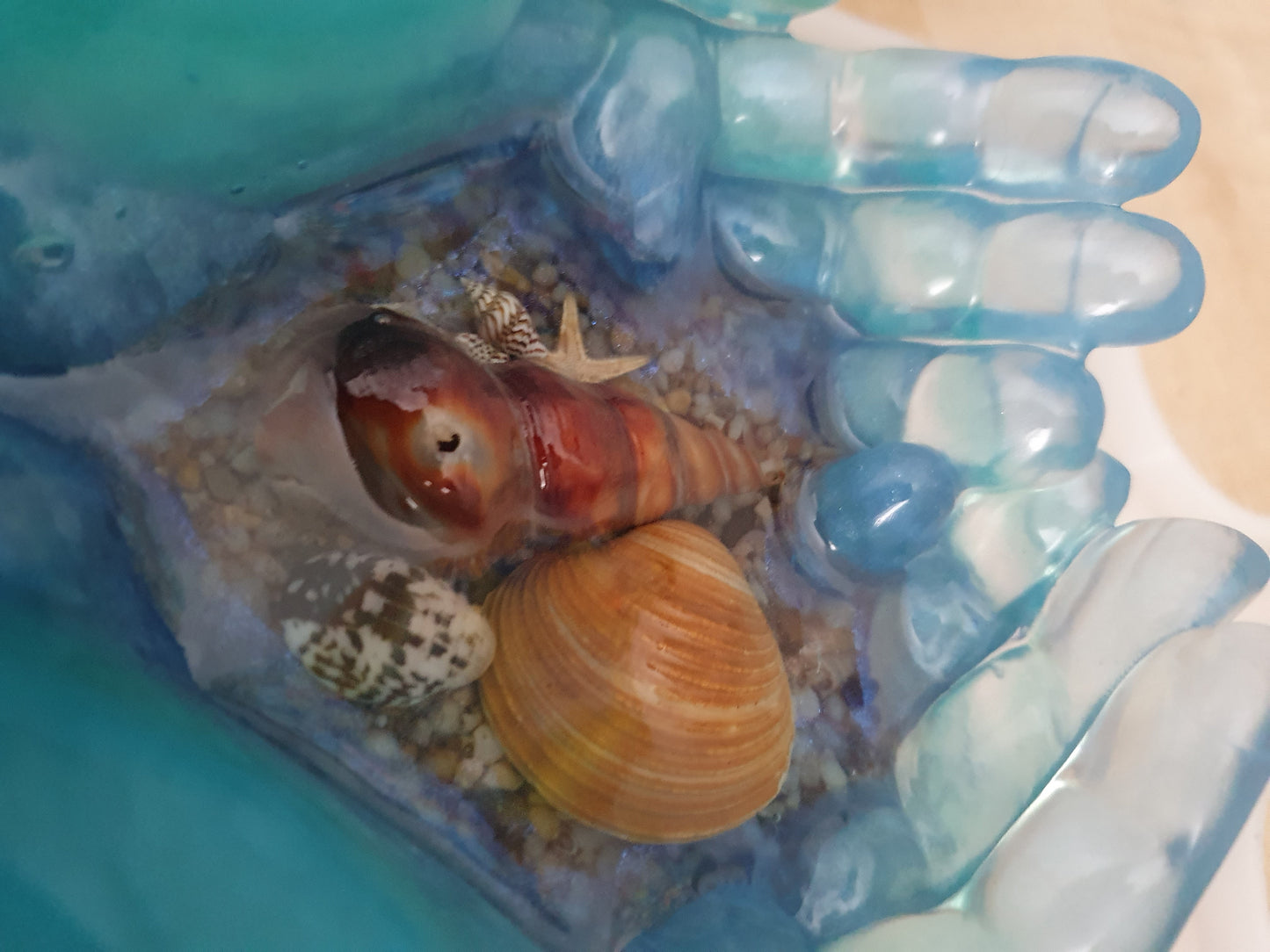 Ocean treasures unique bowl