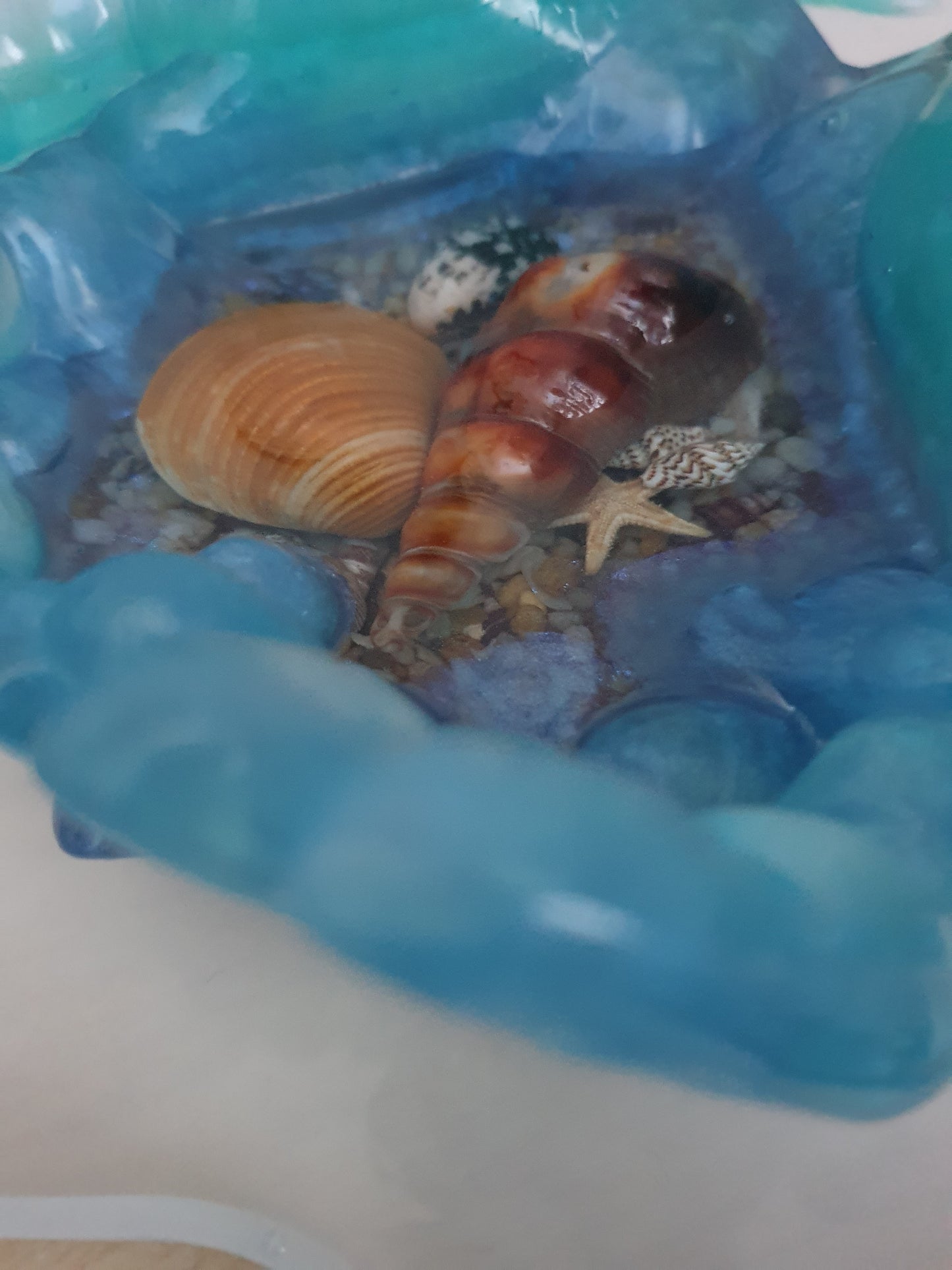 Ocean treasures unique bowl