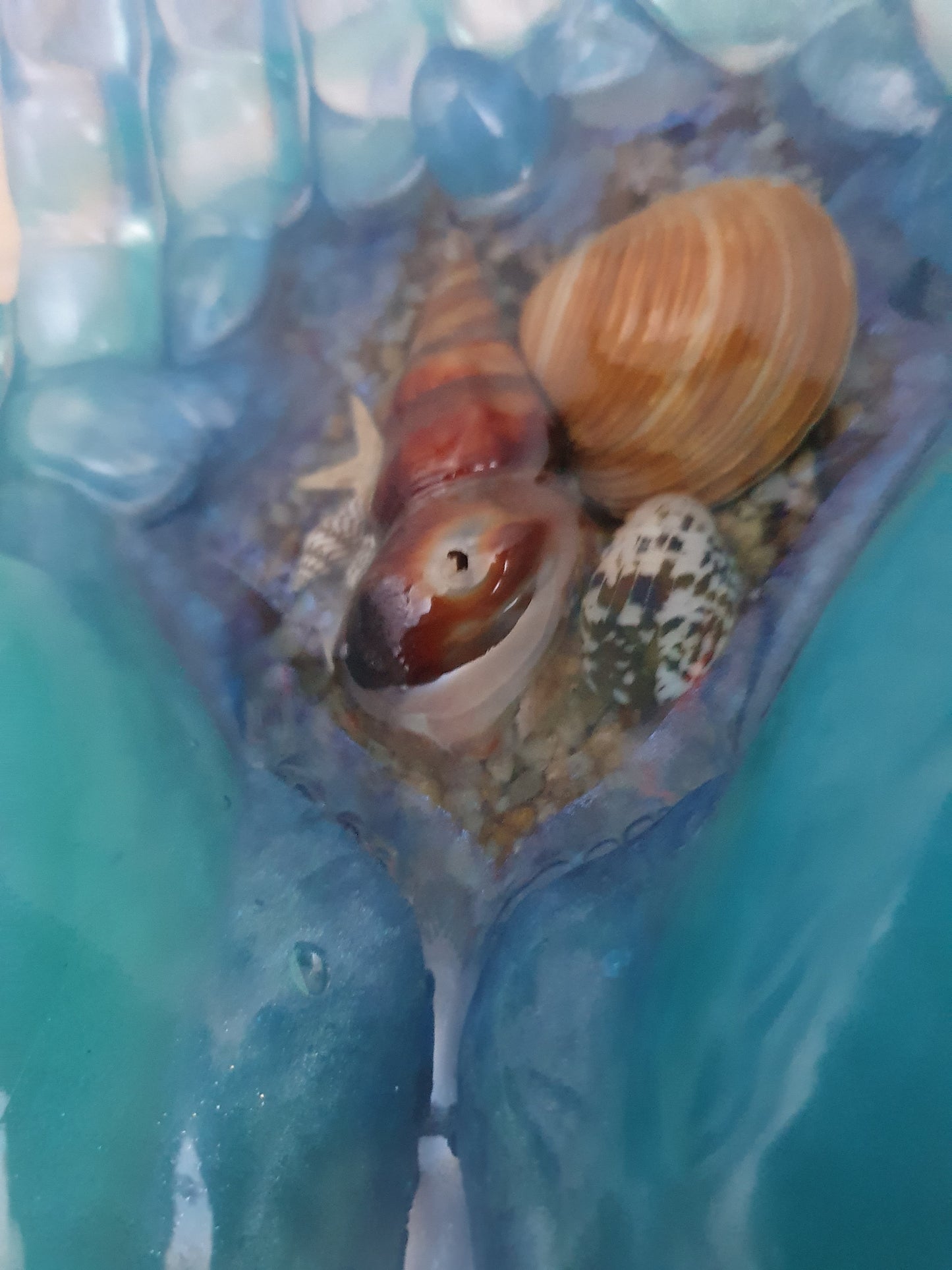 Ocean treasures unique bowl