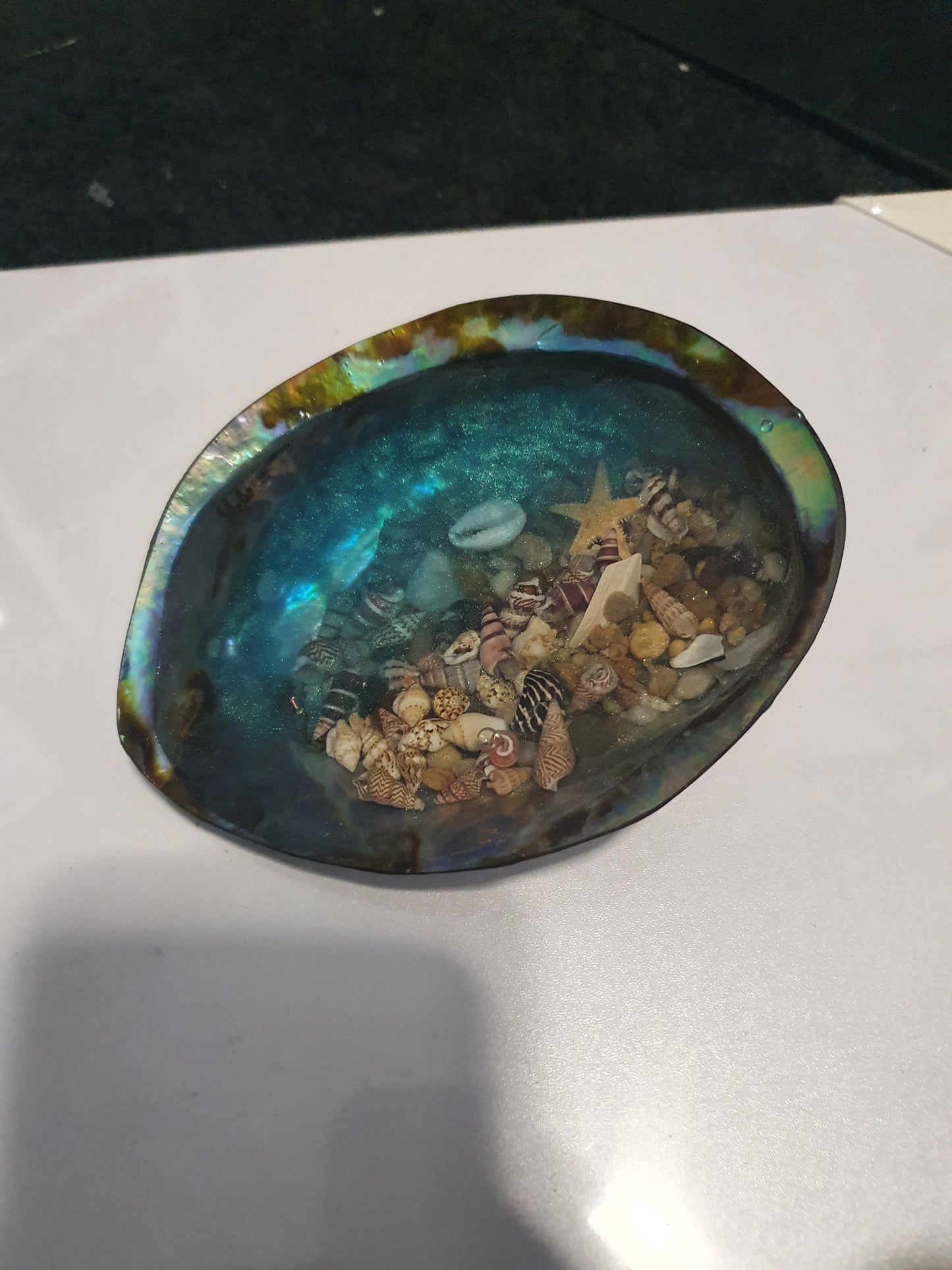 An extraordinary seashell