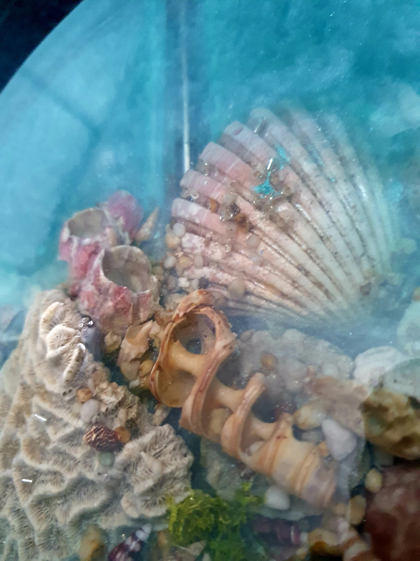 Celebrating the sea through functional art - sculpture/ vase/ lamp