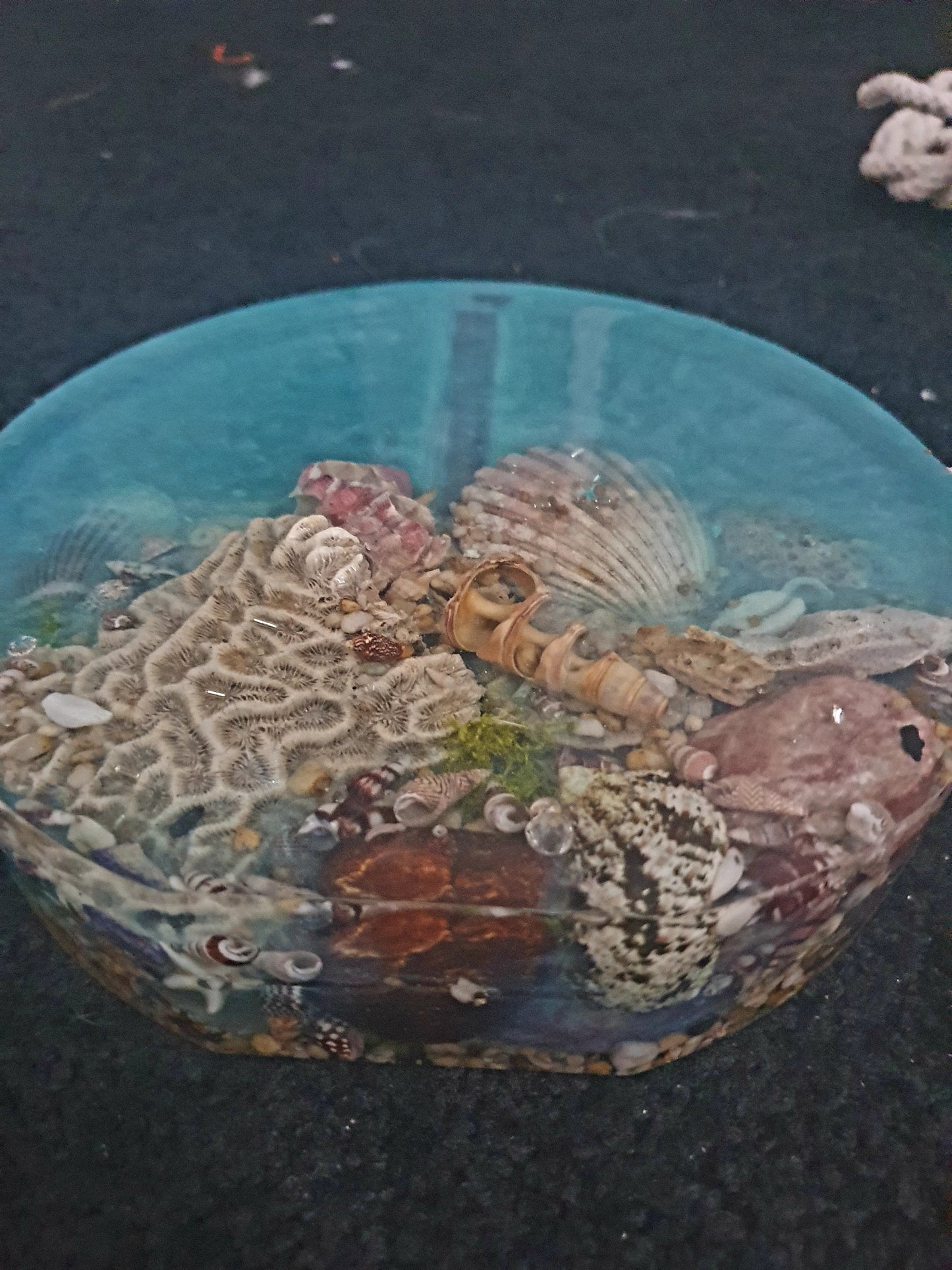 Celebrating the sea through functional art - sculpture/ vase/ lamp