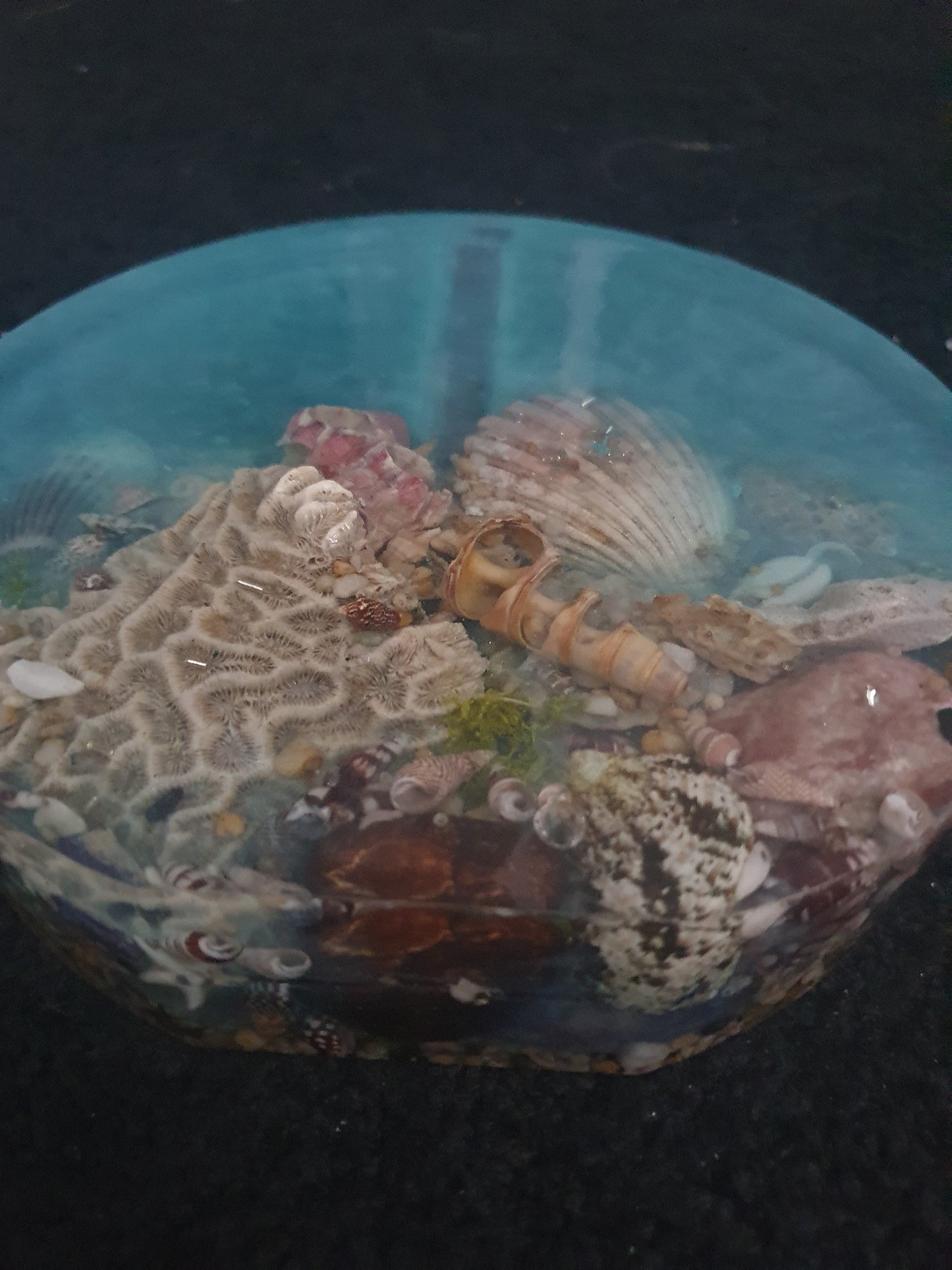 Celebrating the sea through functional art - sculpture/ vase/ lamp