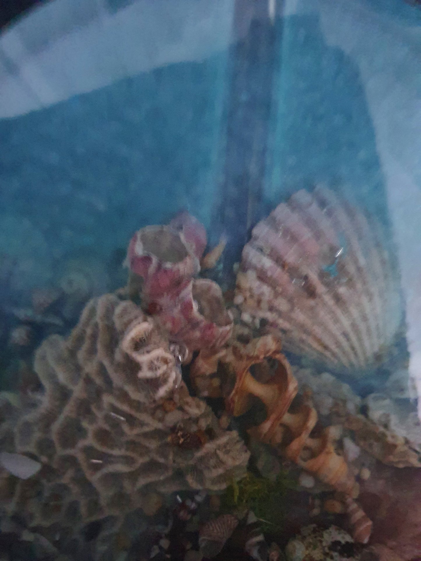 Celebrating the sea through functional art - sculpture/ vase/ lamp