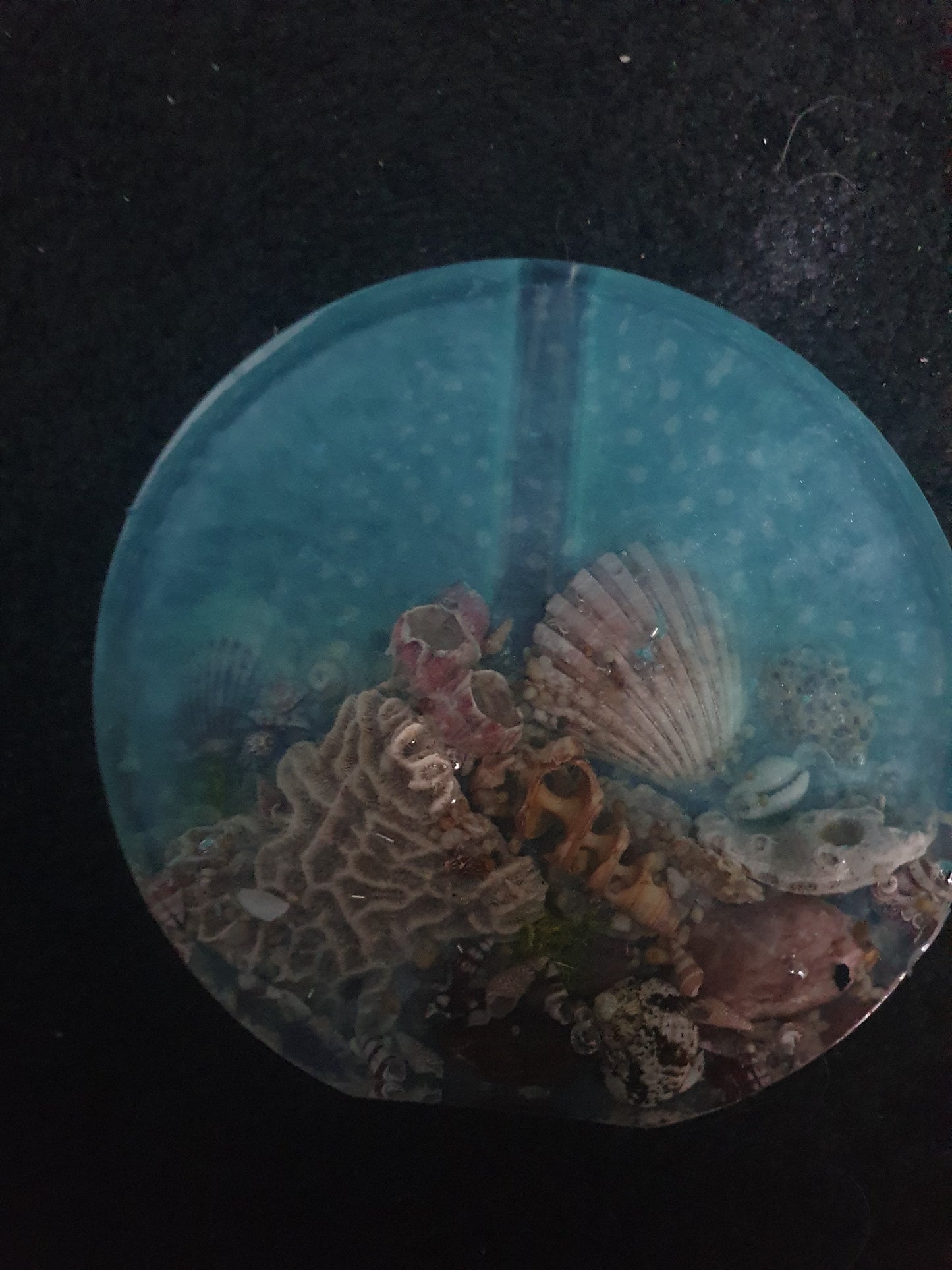 Celebrating the sea through functional art - sculpture/ vase/ lamp