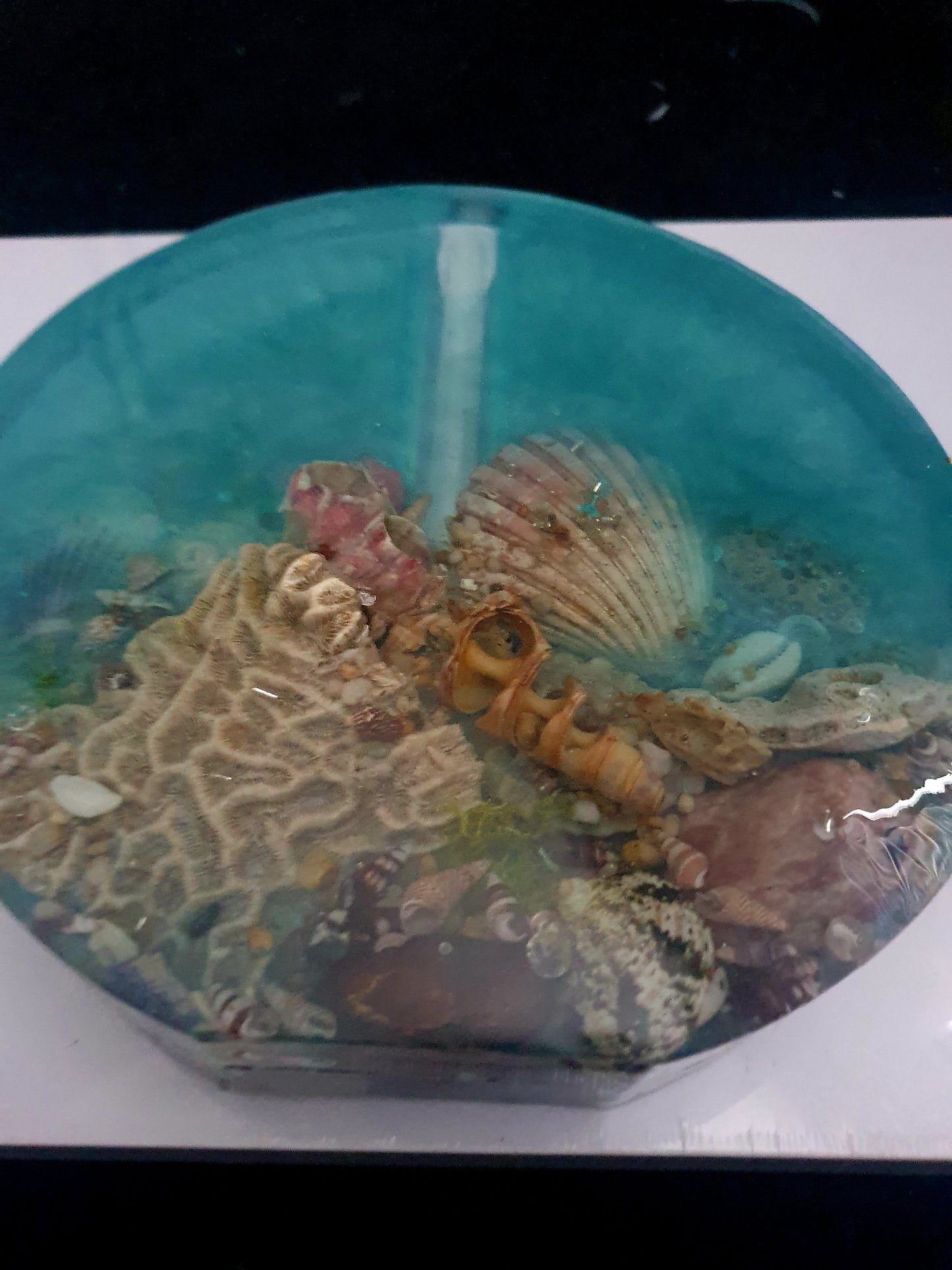 Celebrating the sea through functional art - sculpture/ vase/ lamp