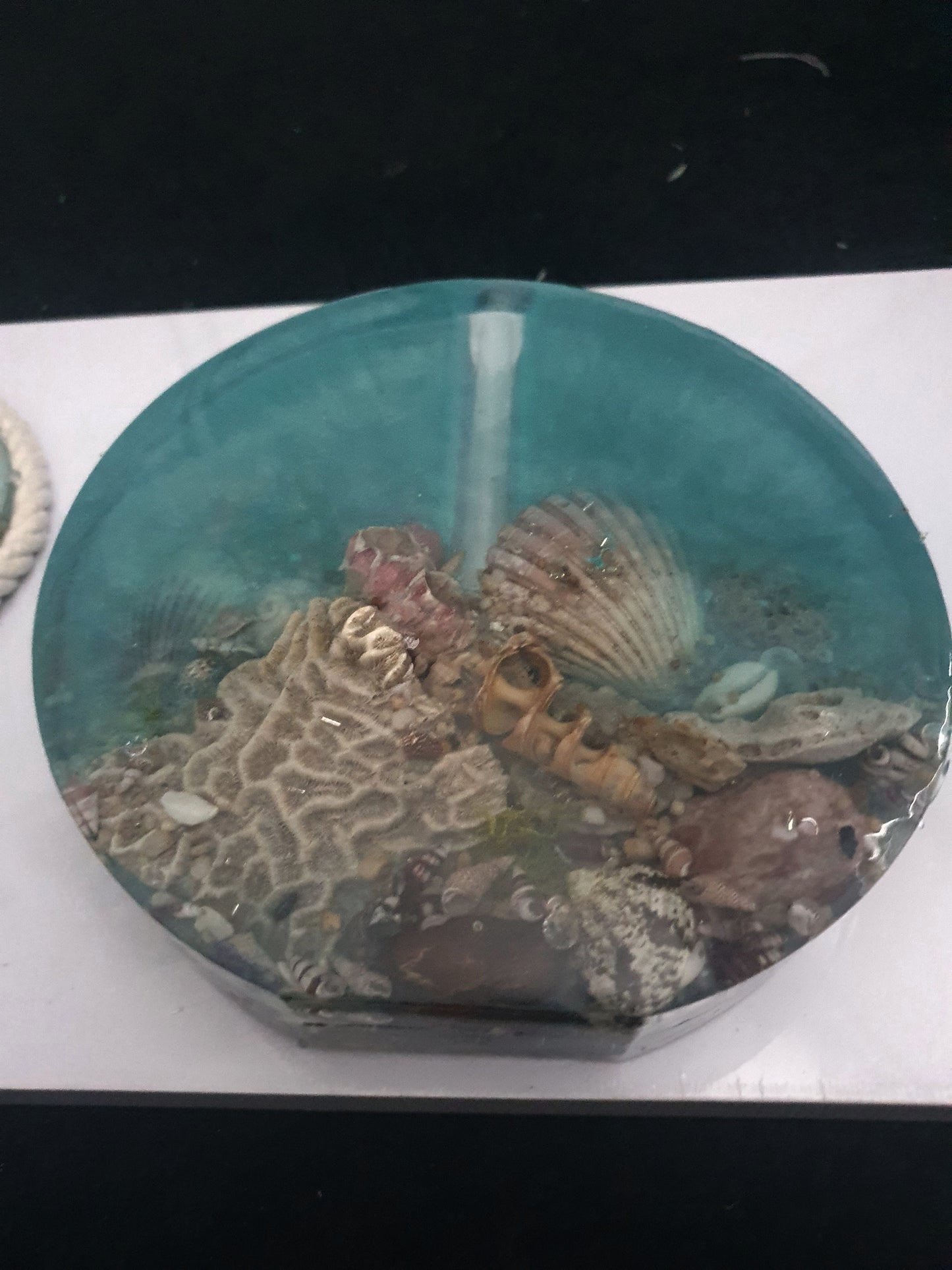 Celebrating the sea through functional art - sculpture/ vase/ lamp