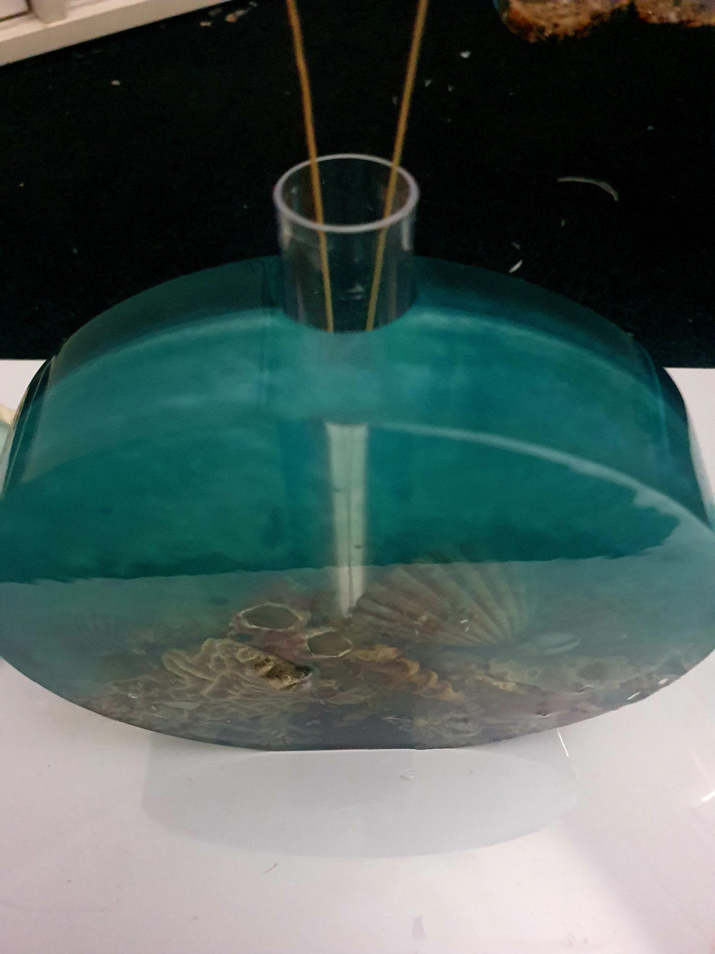Celebrating the sea through functional art - sculpture/ vase/ lamp