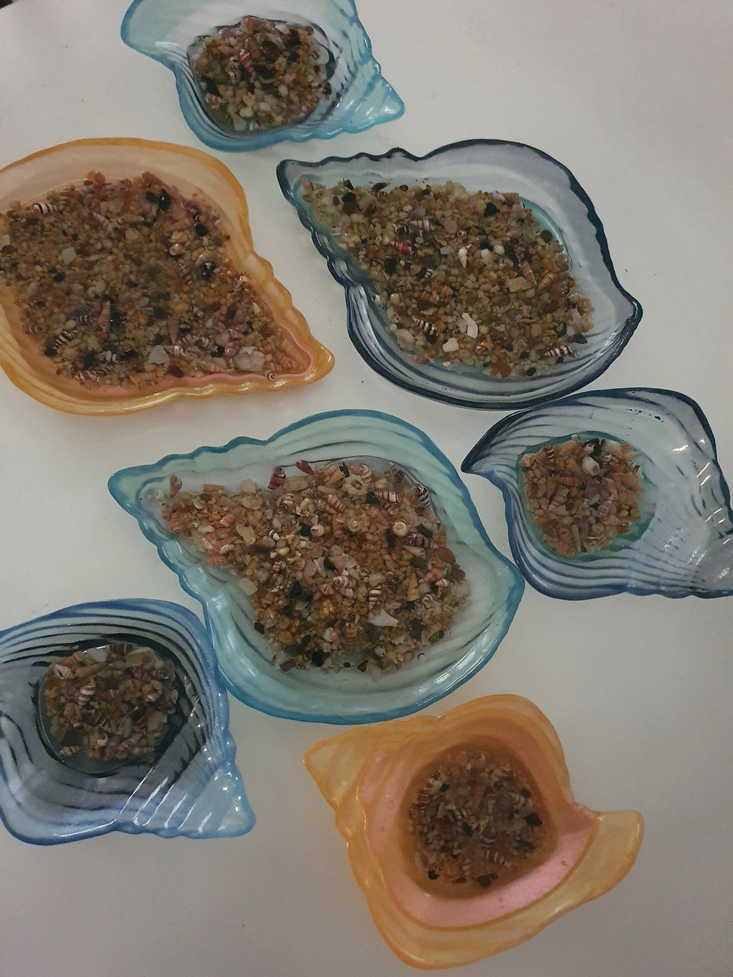 Seashell bowls you won't want to fill