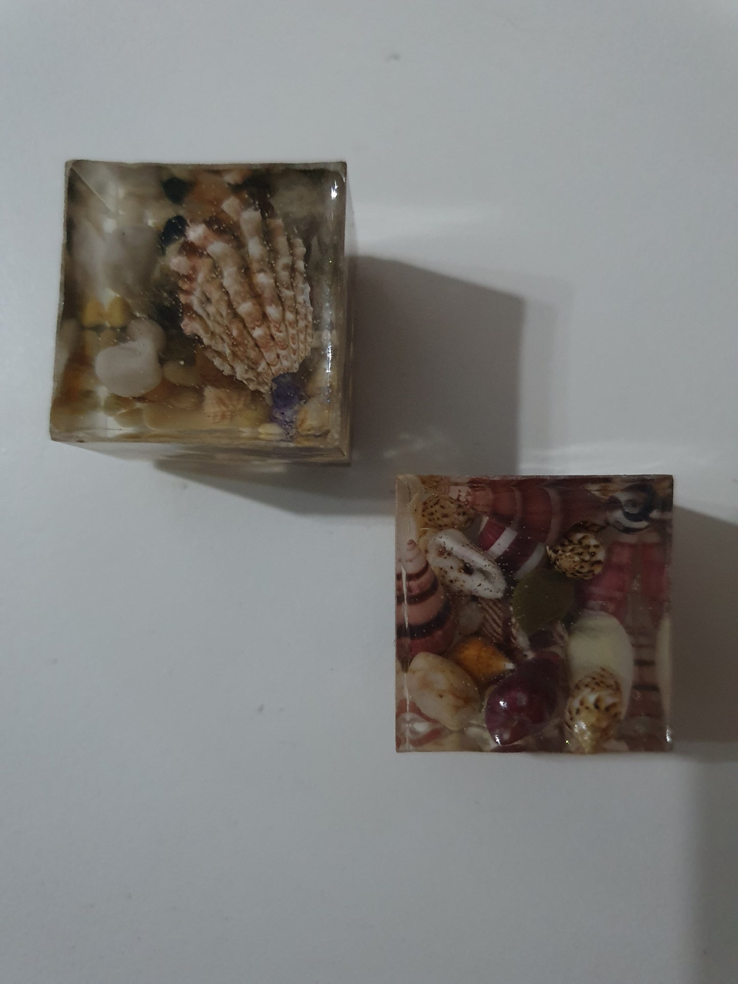 No ordinary fridge magnets