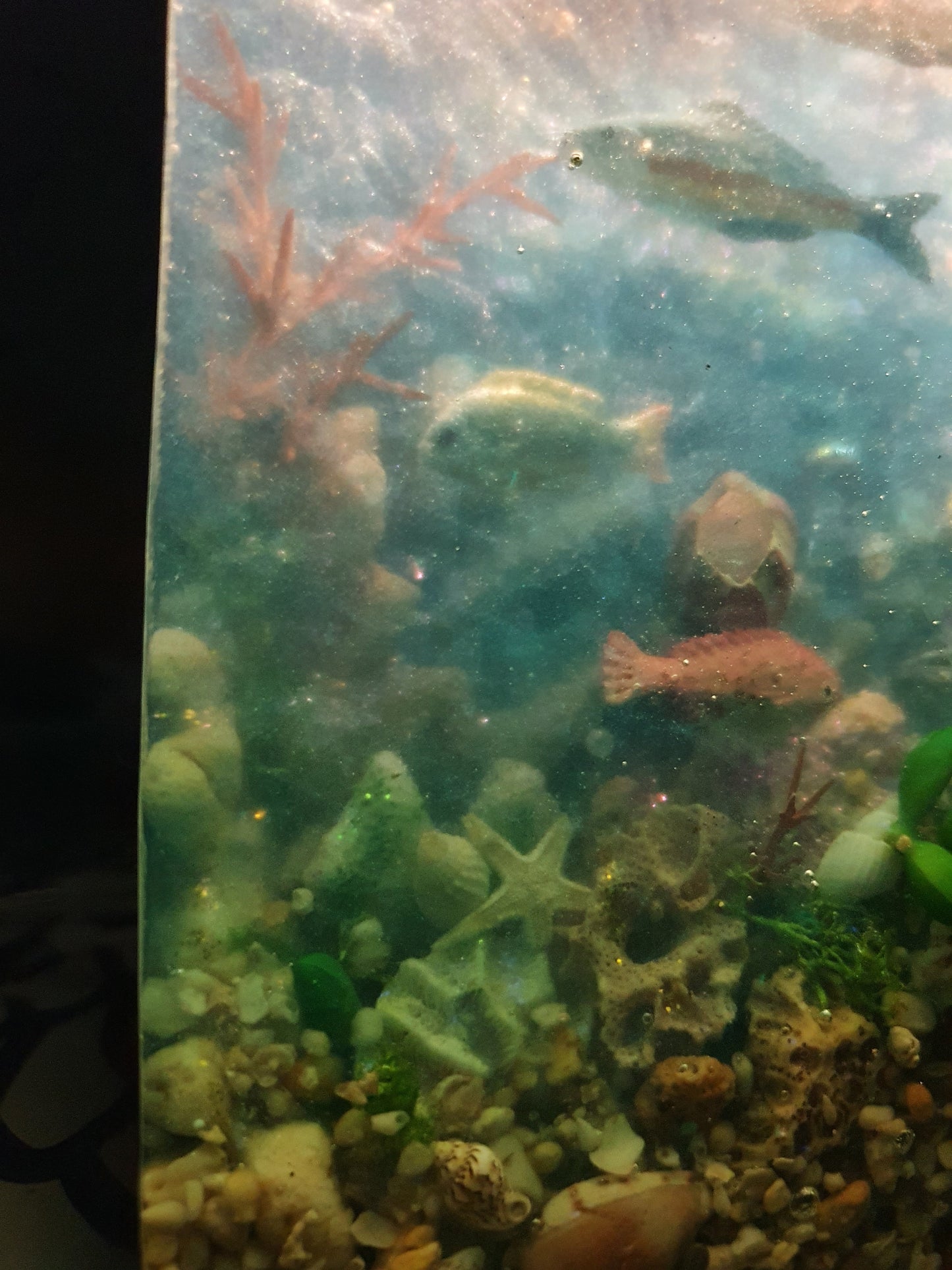 Magical marine fishtank