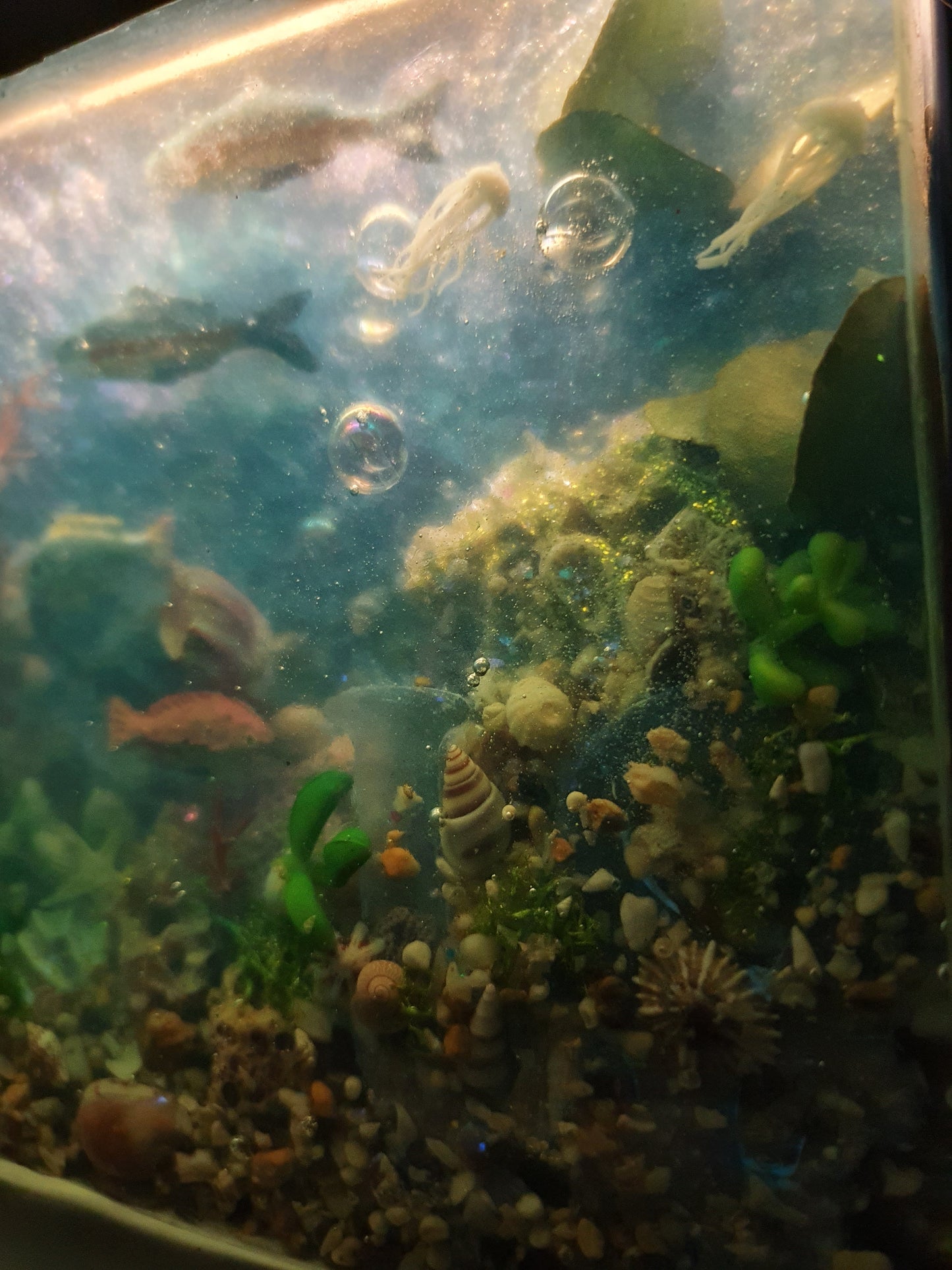 Magical marine fishtank