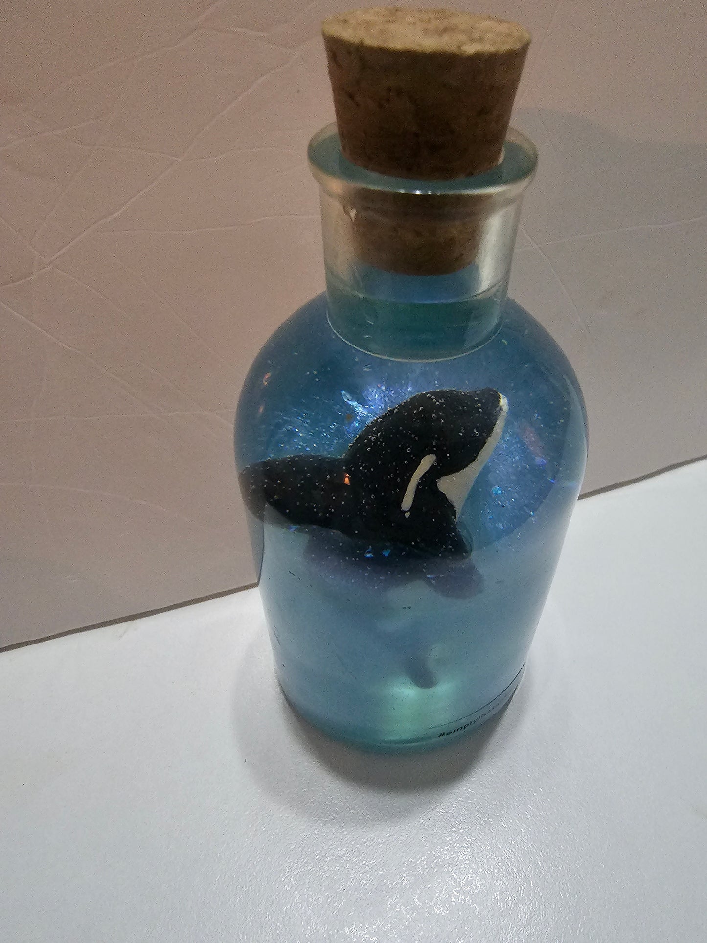 Message in a bottle - orca belong in the wild