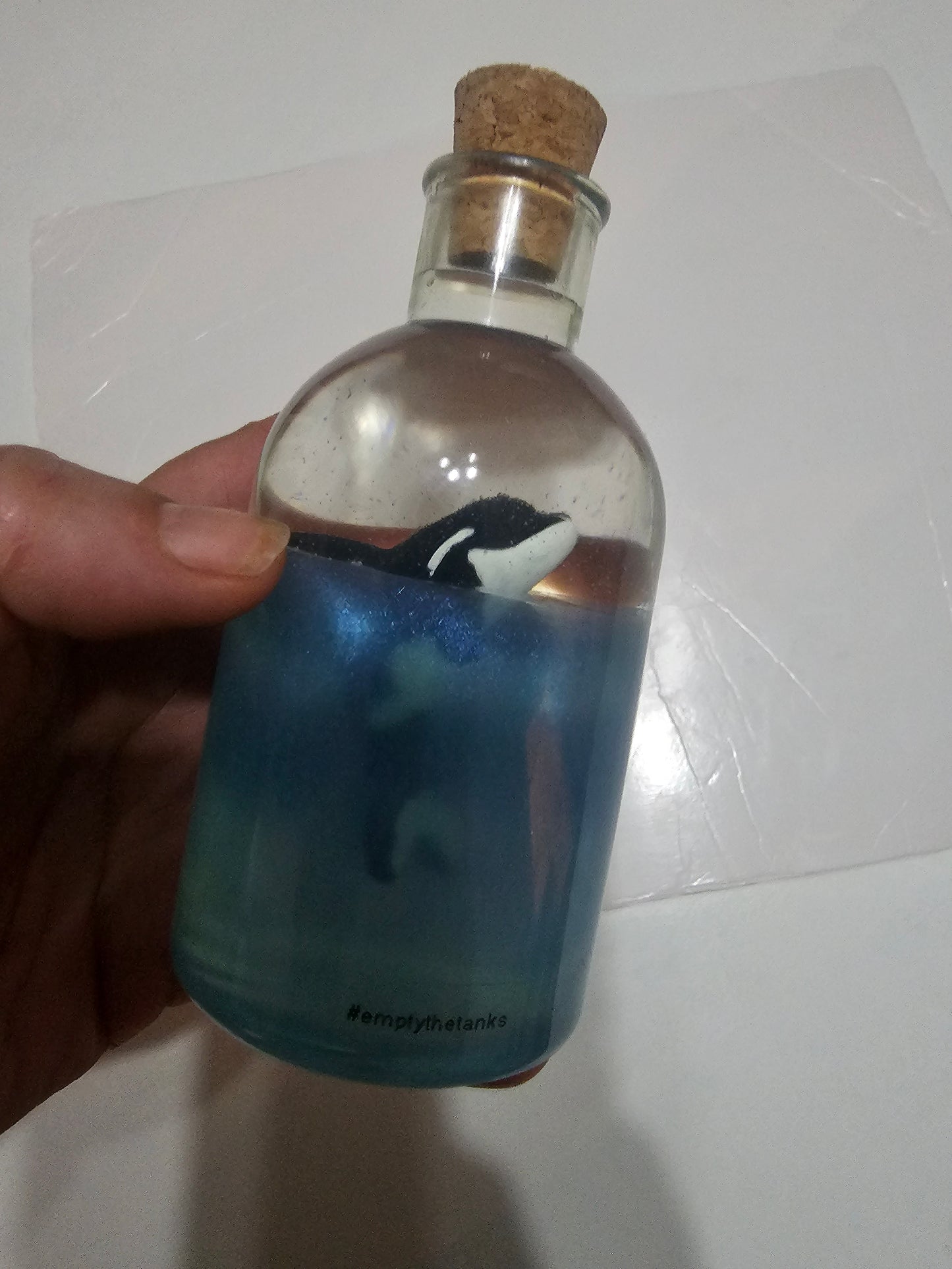 Message in a bottle - orca belong in the wild