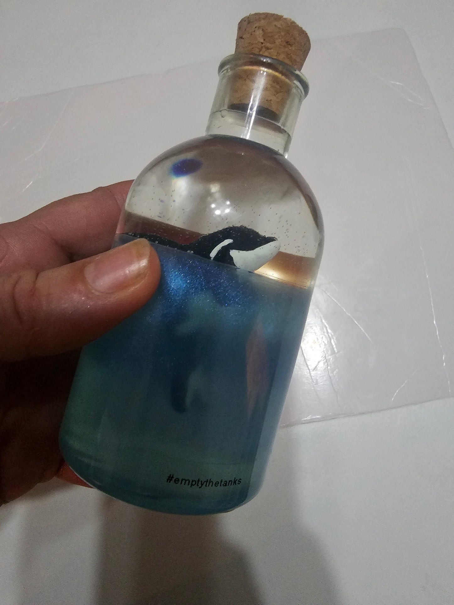 Message in a bottle - orca belong in the wild