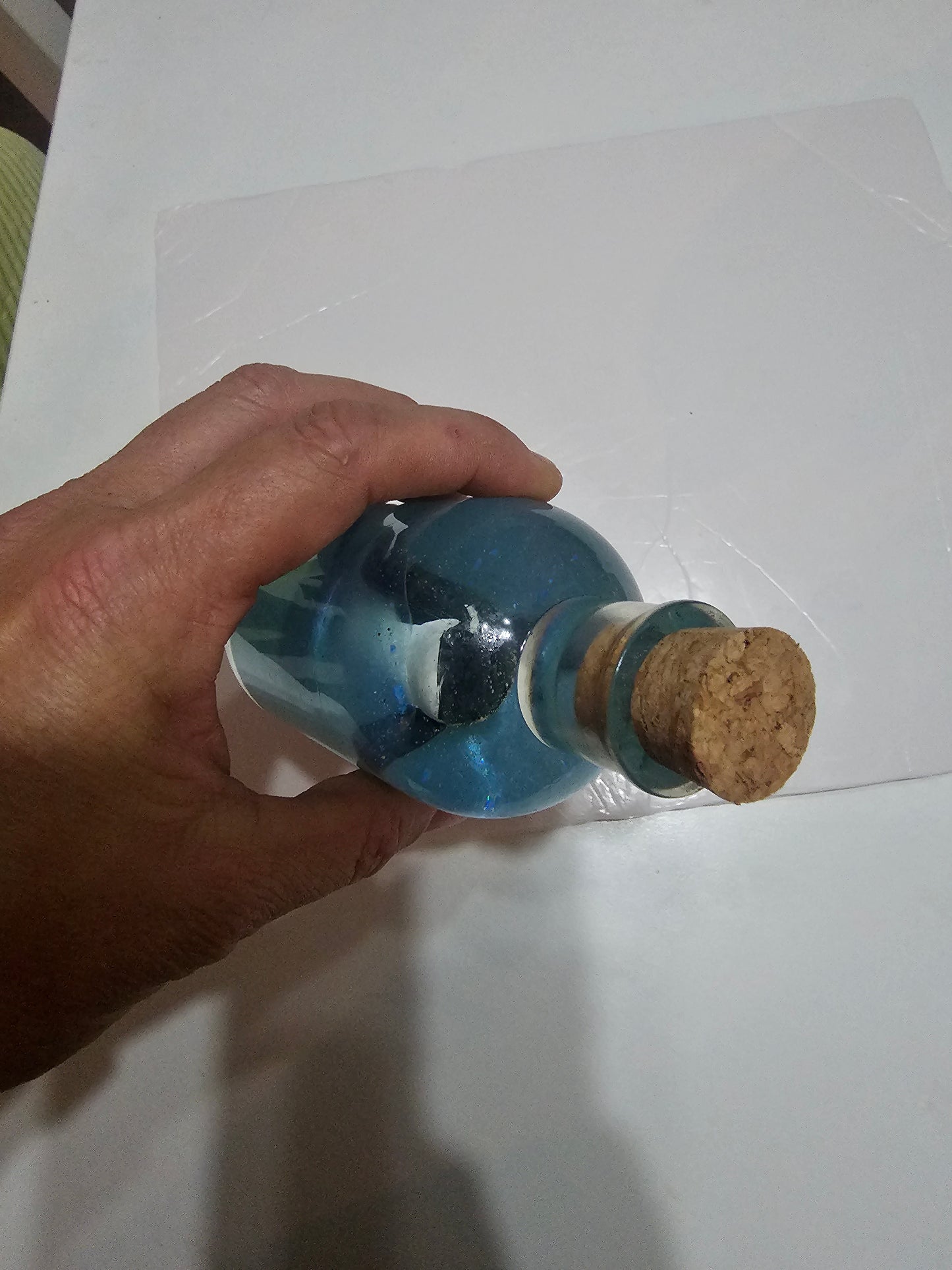 Message in a bottle - orca belong in the wild