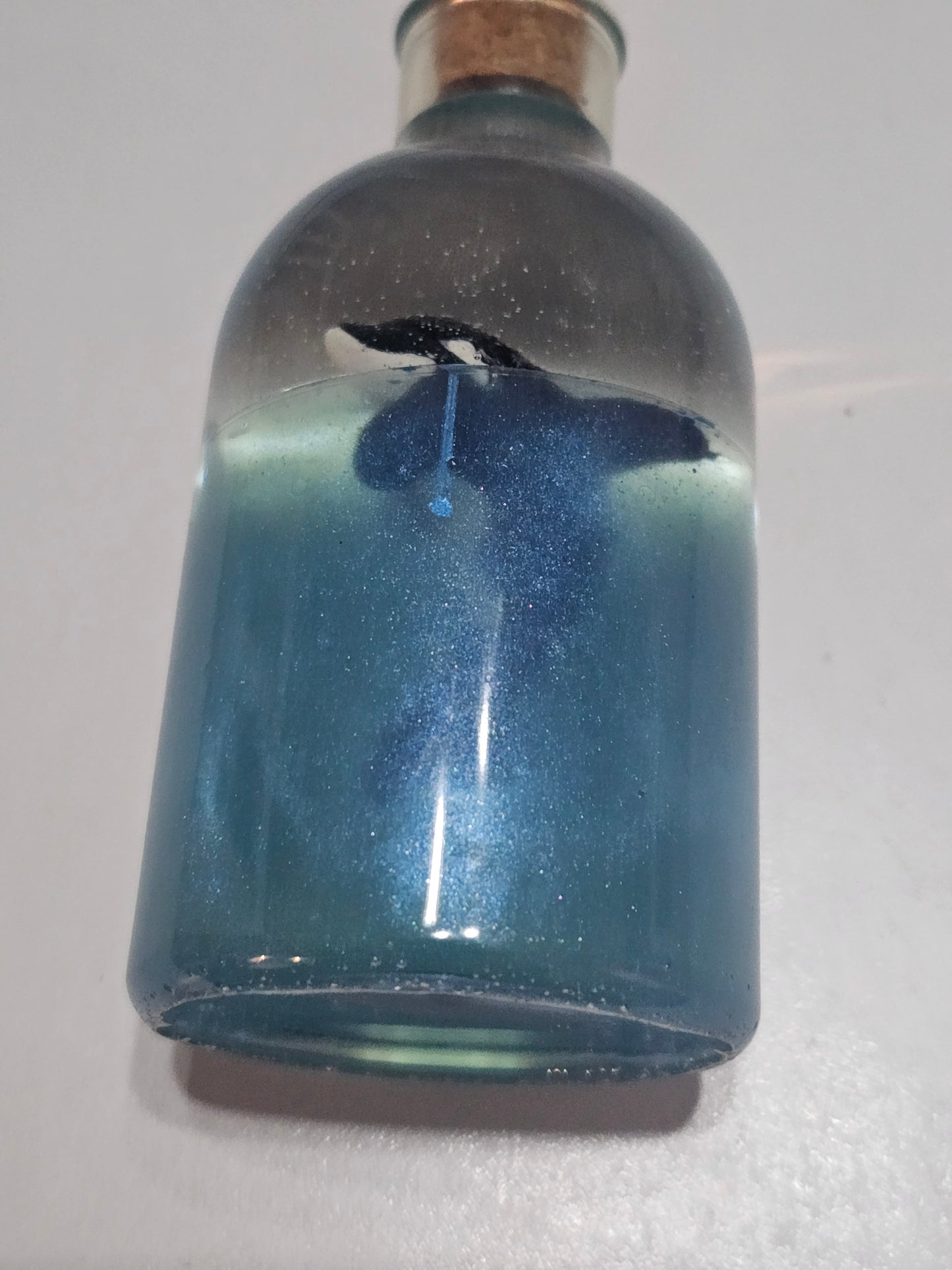 Message in a bottle - orca belong in the wild