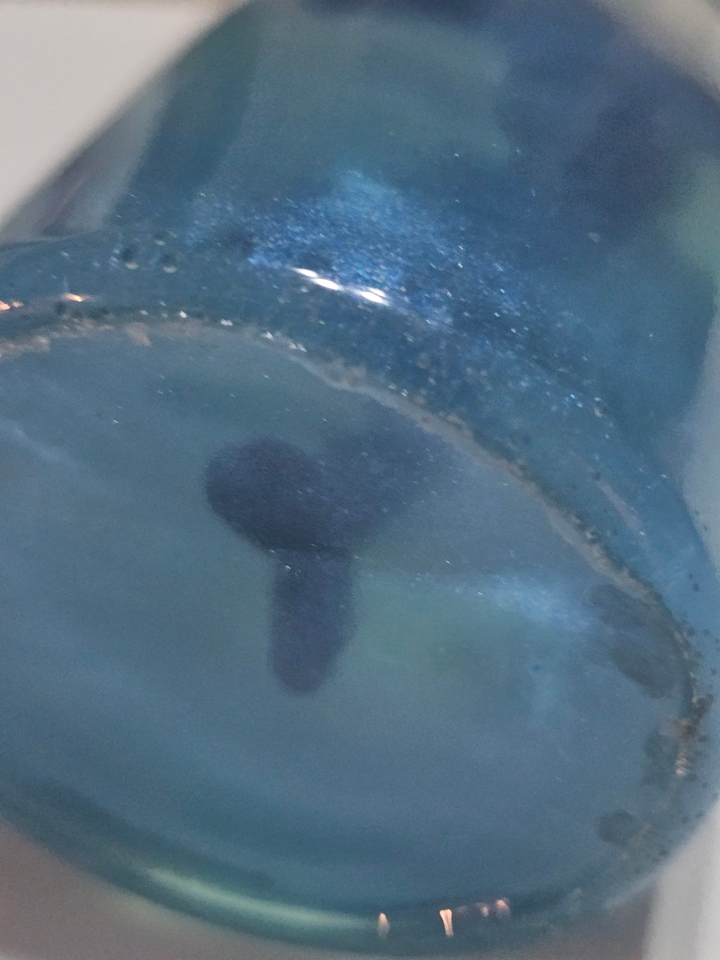 Message in a bottle - orca belong in the wild
