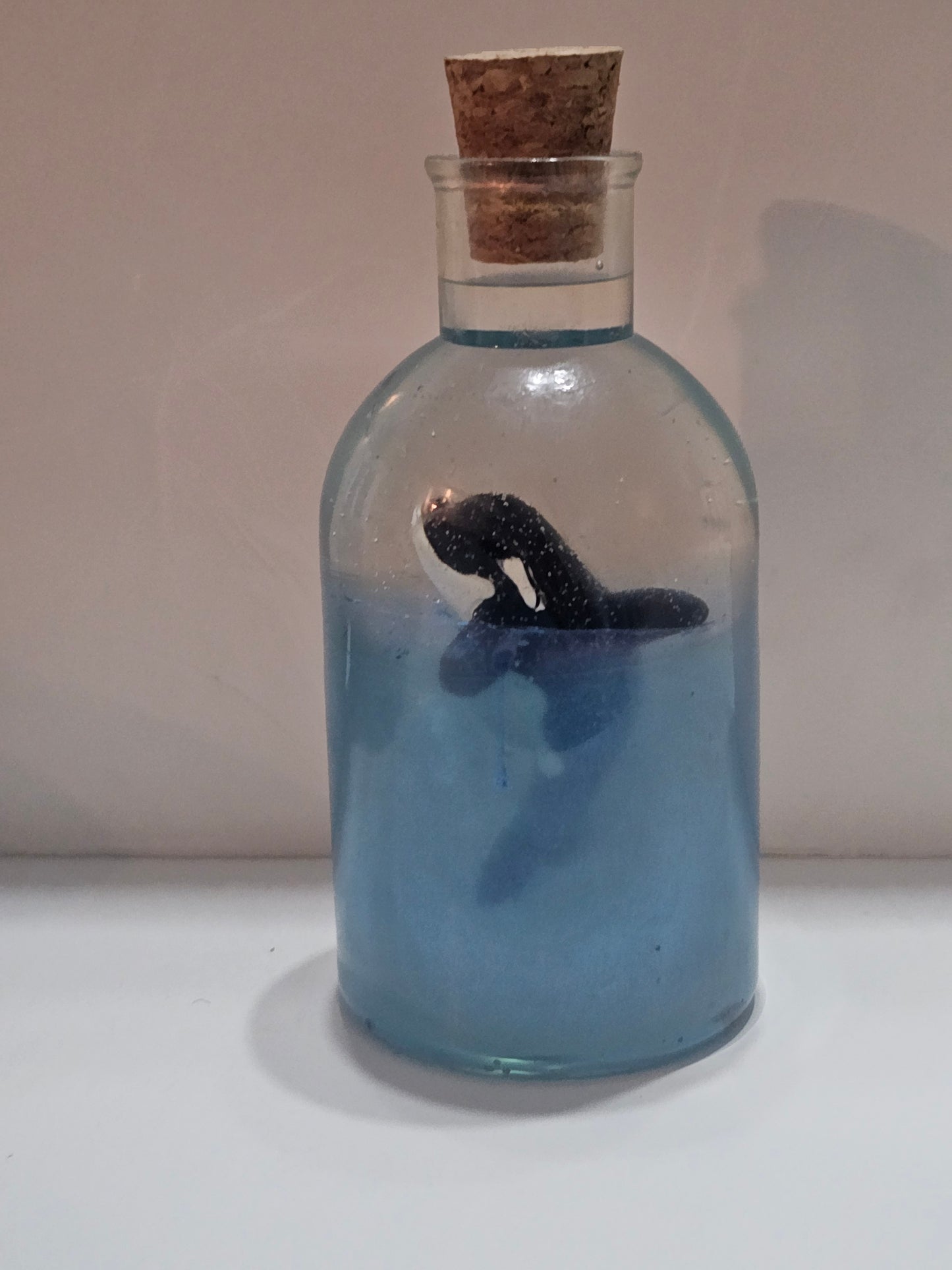 Message in a bottle - orca belong in the wild