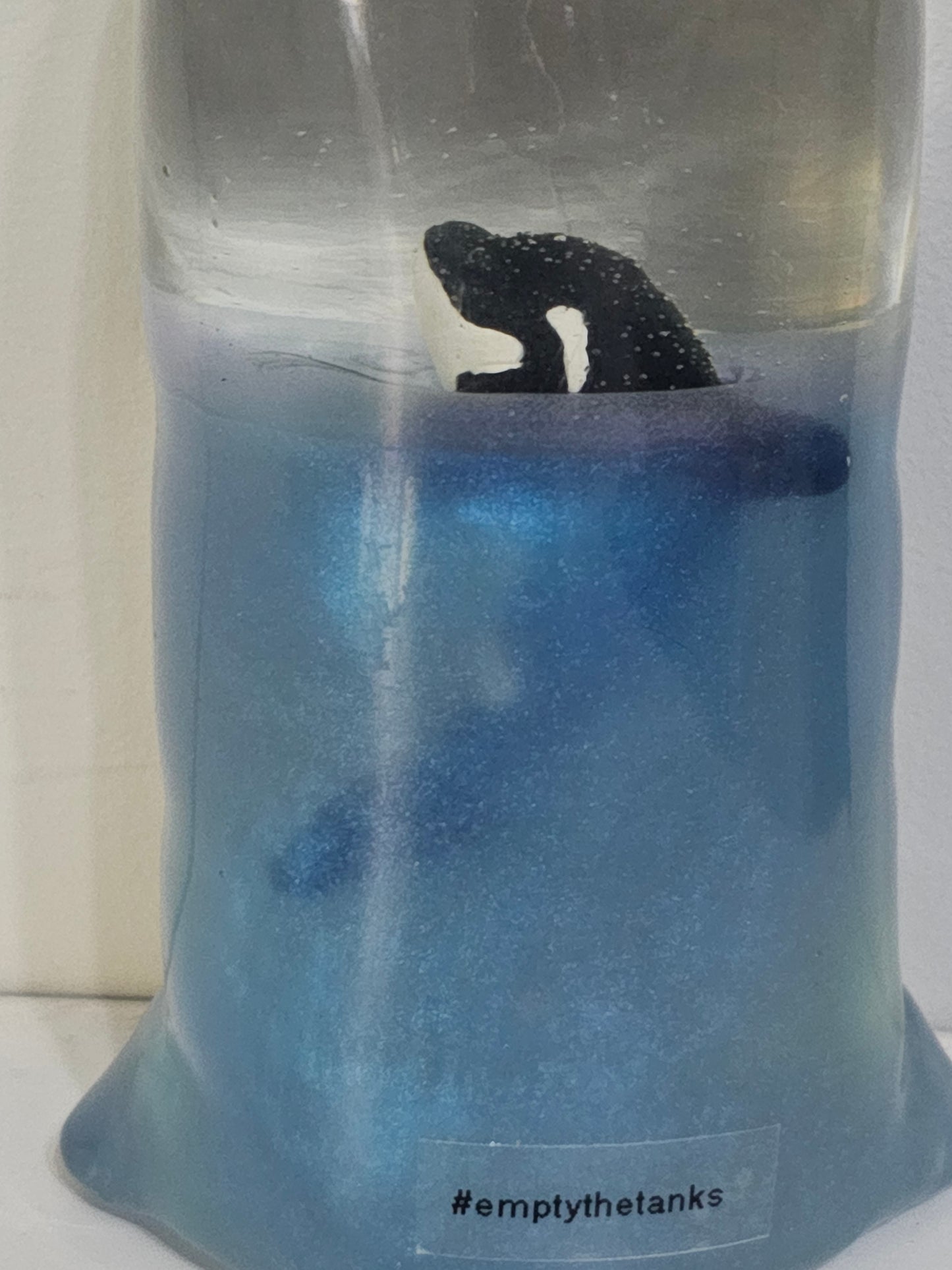 Table art - Release captive orca