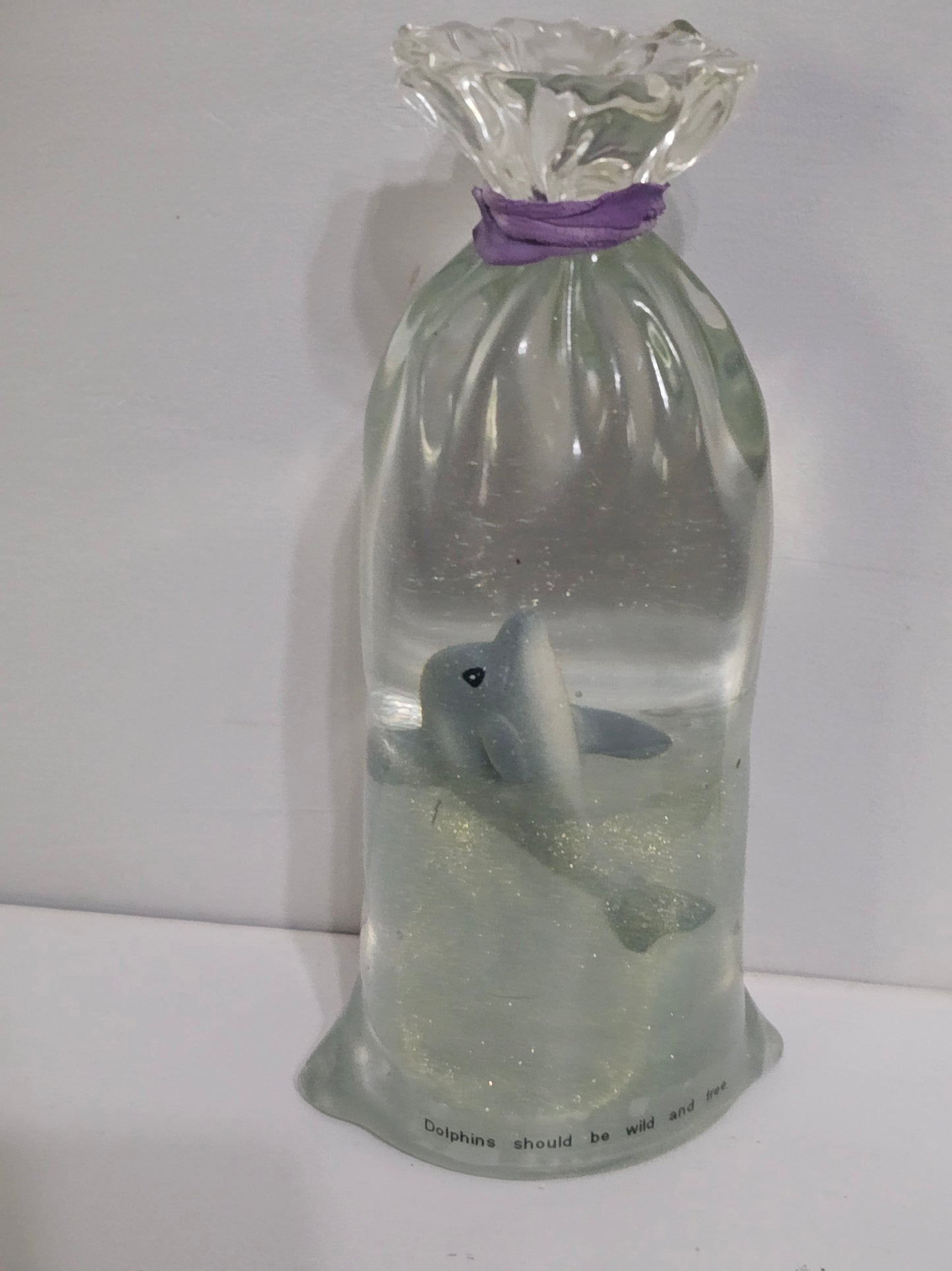 Dolphins should be wild and free