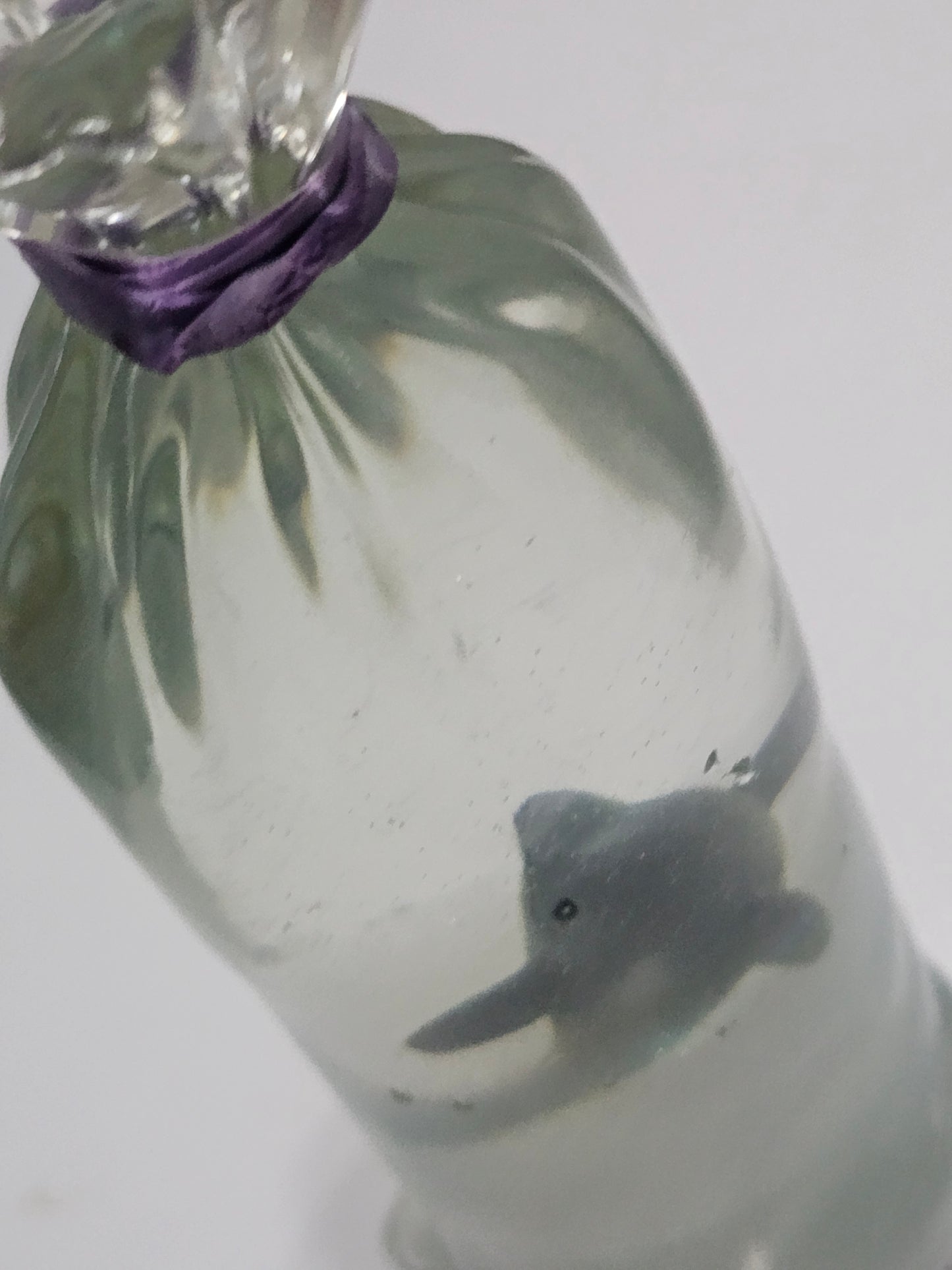 Dolphins should be wild and free