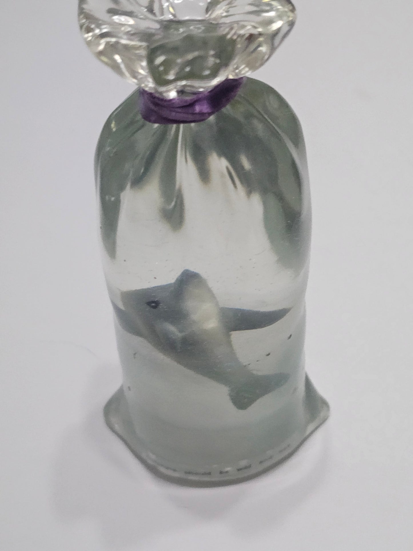 Dolphins should be wild and free
