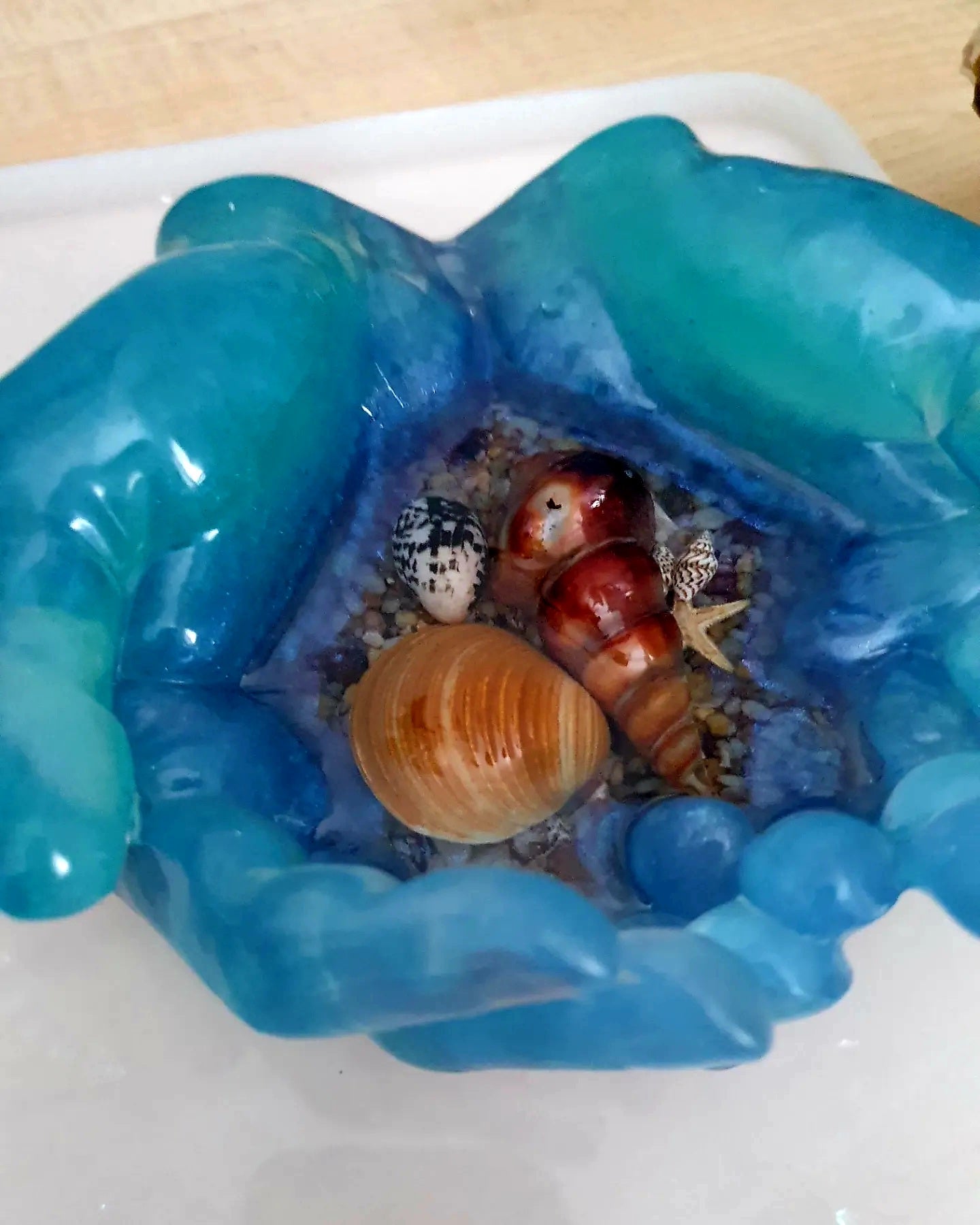 Ocean treasures unique bowl