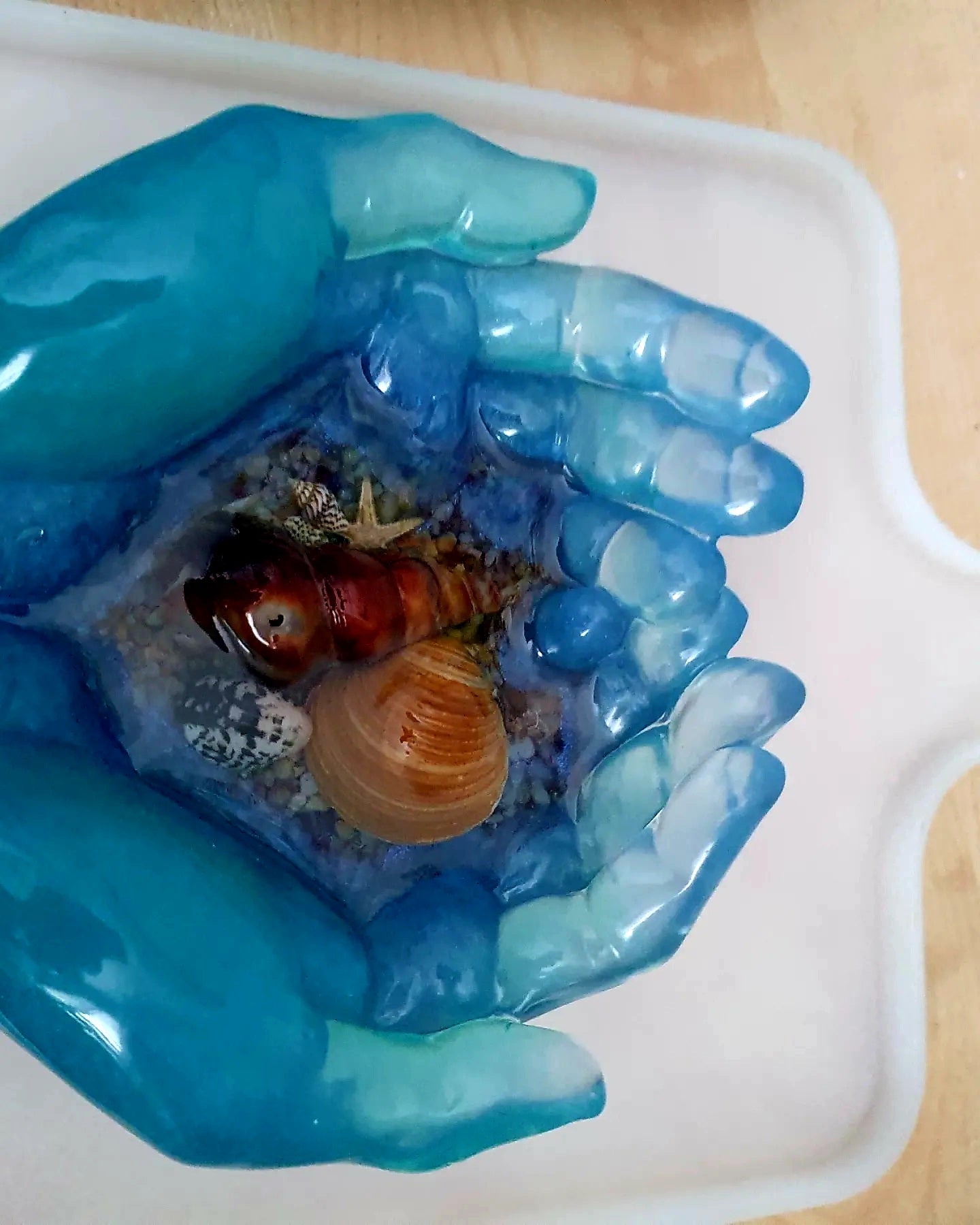 Ocean treasures unique bowl