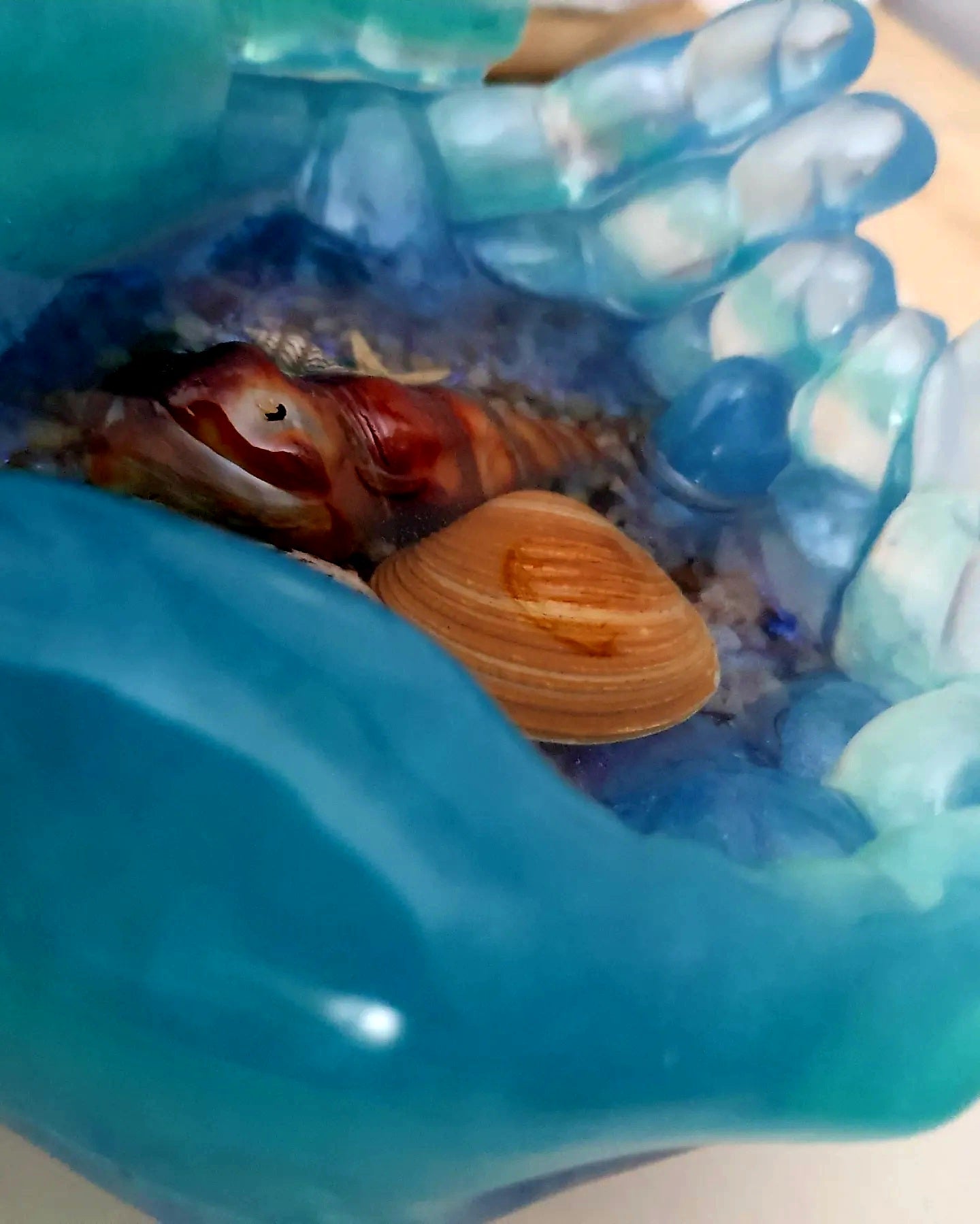 Ocean treasures unique bowl