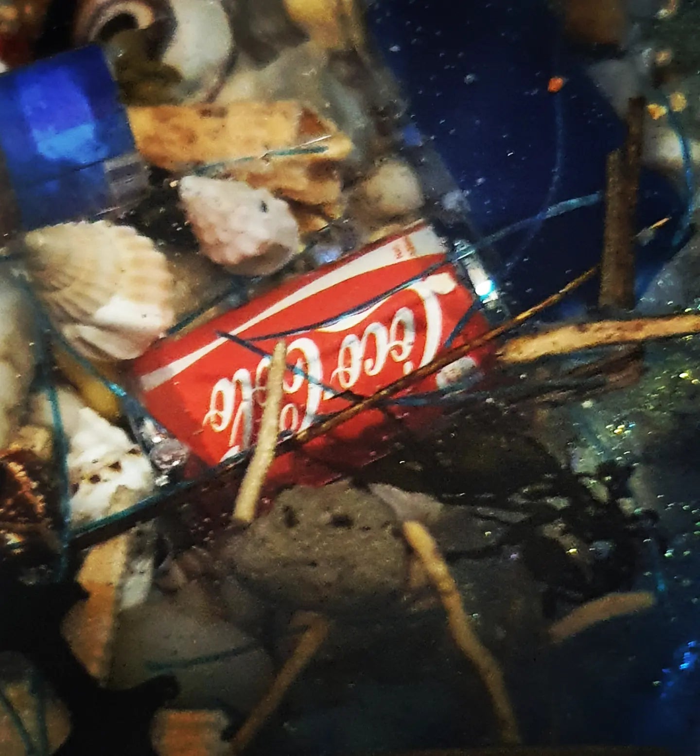 Table art/ bowl - Rubbish free oceans