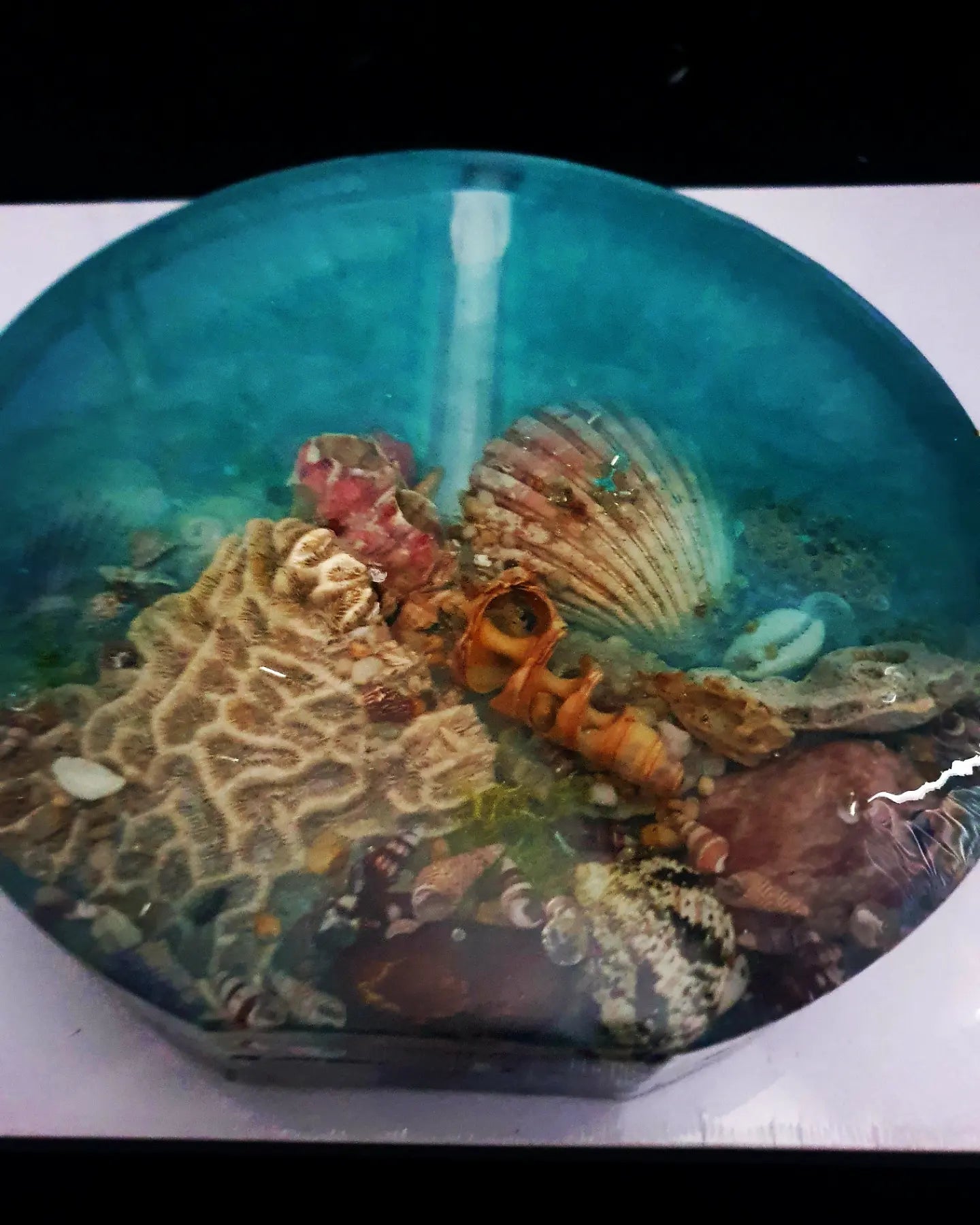 Celebrating the sea through functional art - sculpture/ vase/ lamp