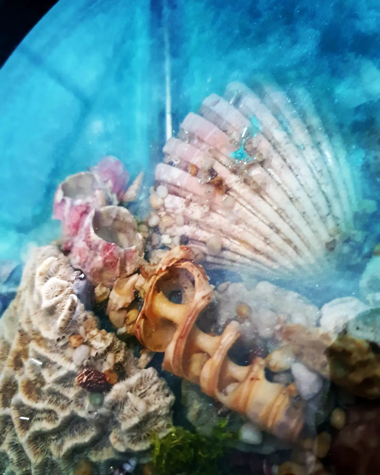 Celebrating the sea through functional art - sculpture/ vase/ lamp