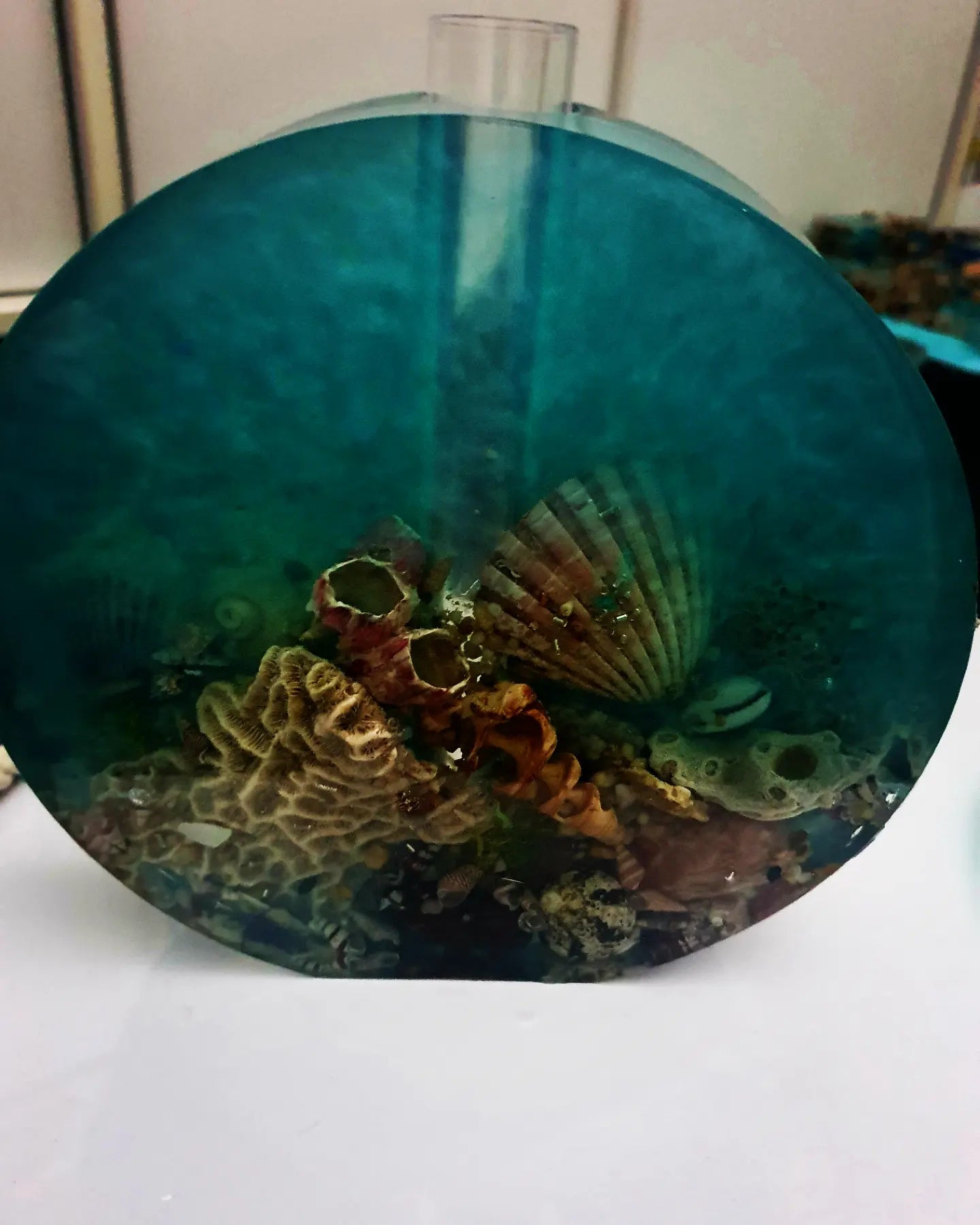 Celebrating the sea through functional art - sculpture/ vase/ lamp