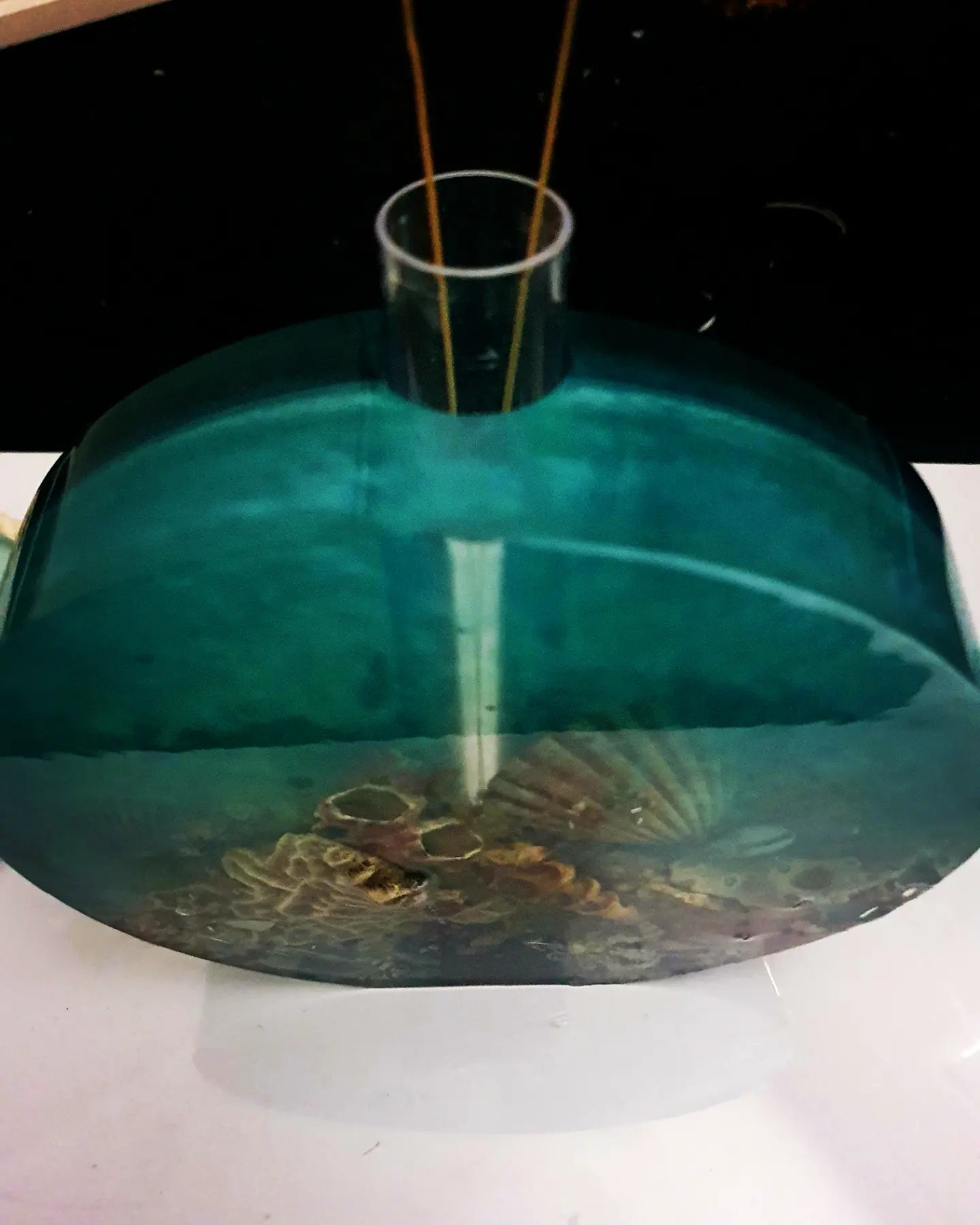 Celebrating the sea through functional art - sculpture/ vase/ lamp