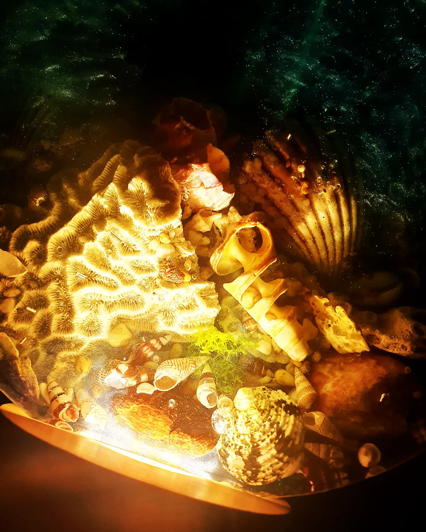 Celebrating the sea through functional art - sculpture/ vase/ lamp