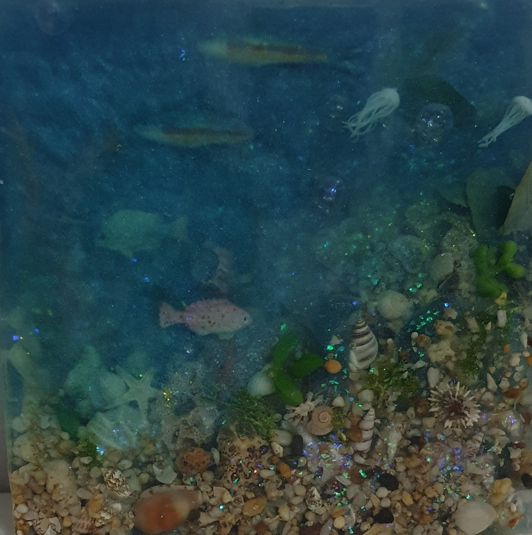 Magical marine fishtank