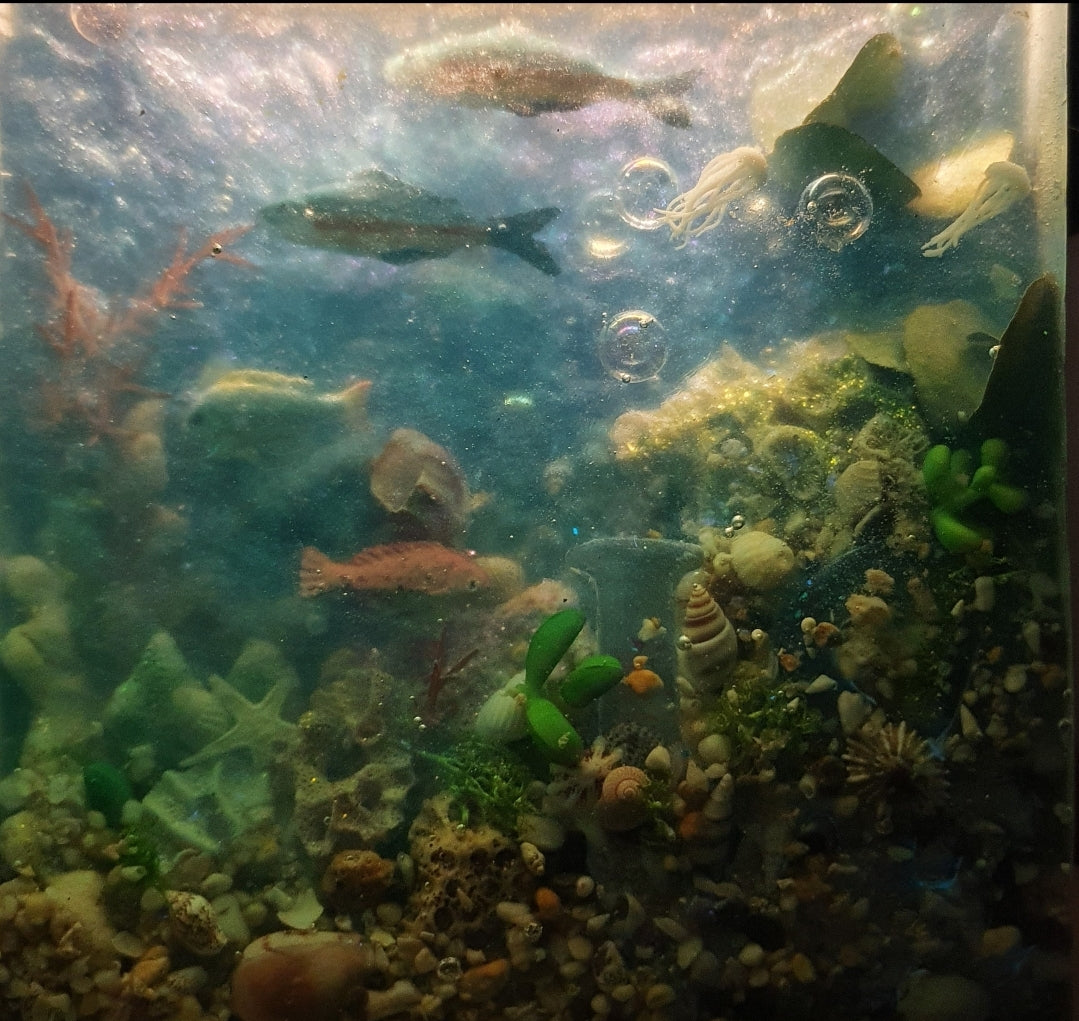 Magical marine fishtank
