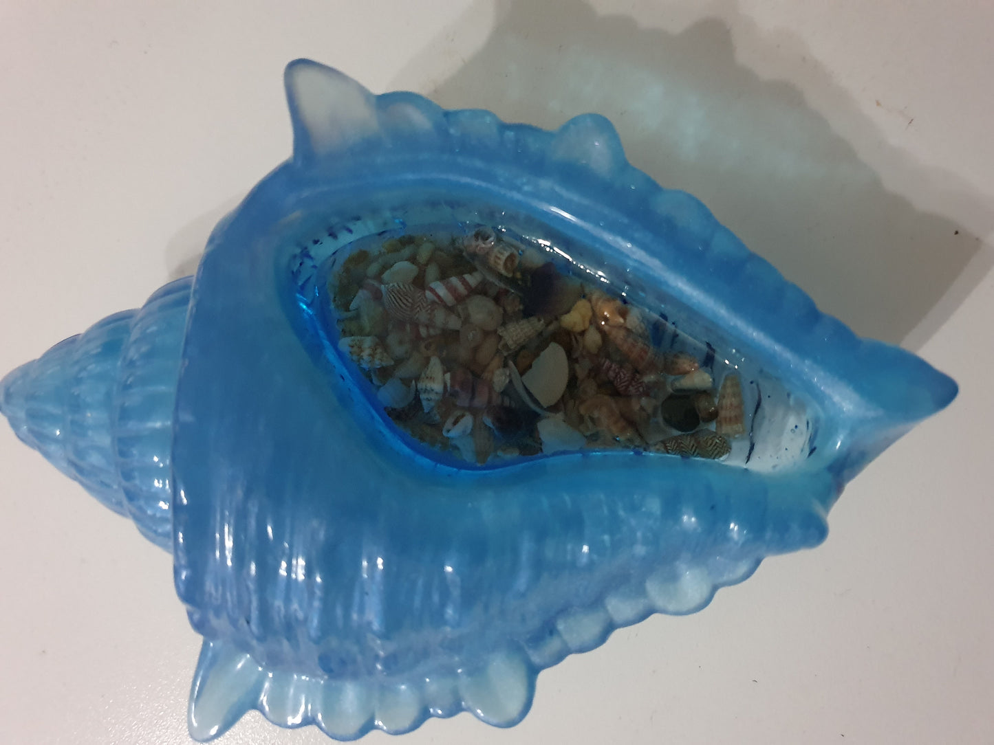 Seashell bowls/ trinket dishes/ decor