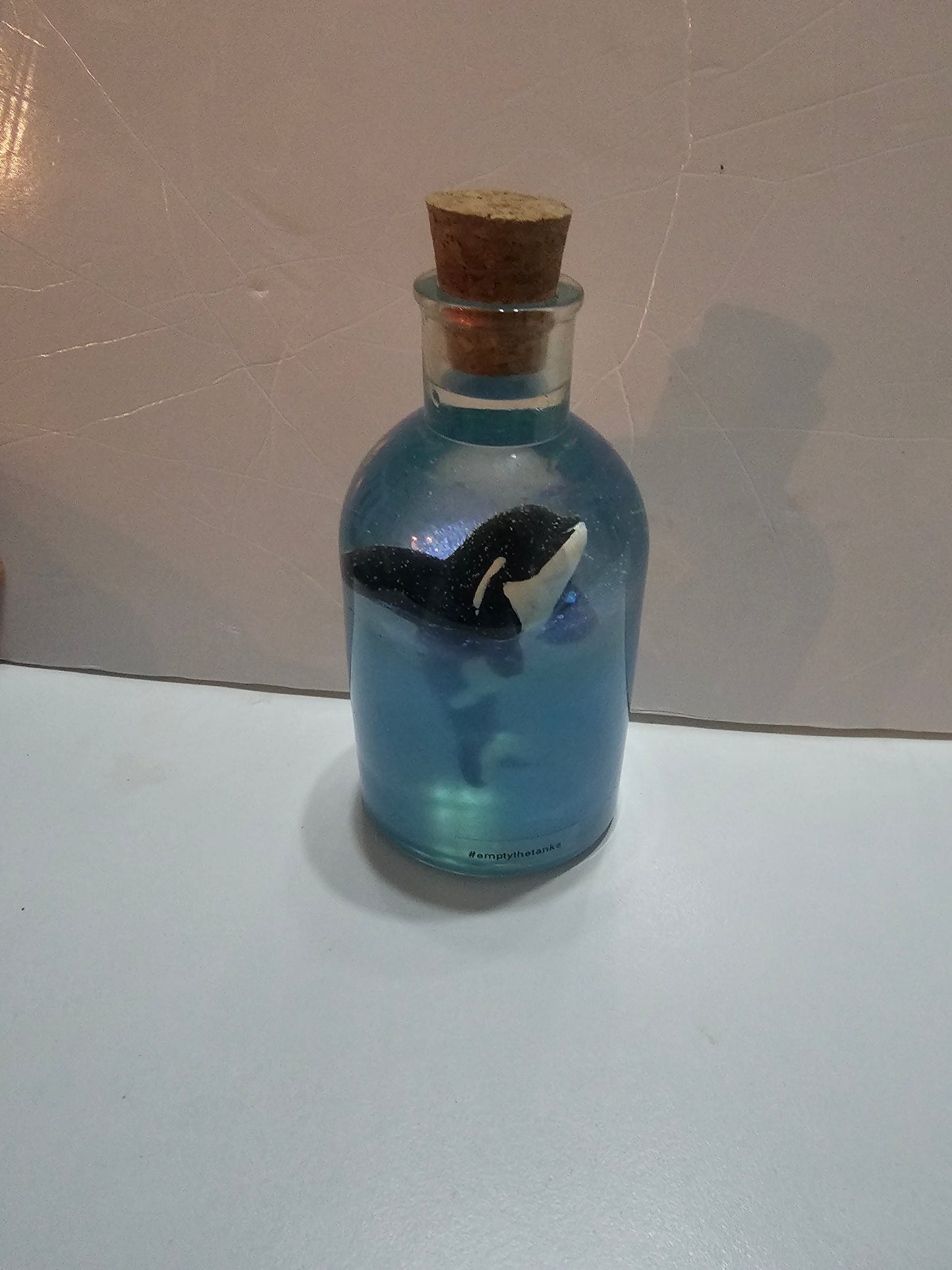 Message in a bottle - orca belong in the wild