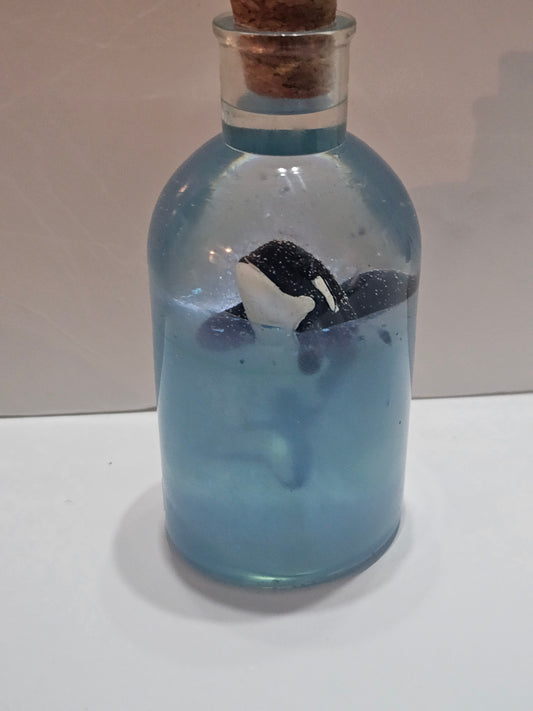 Message in a bottle - orca belong in the wild